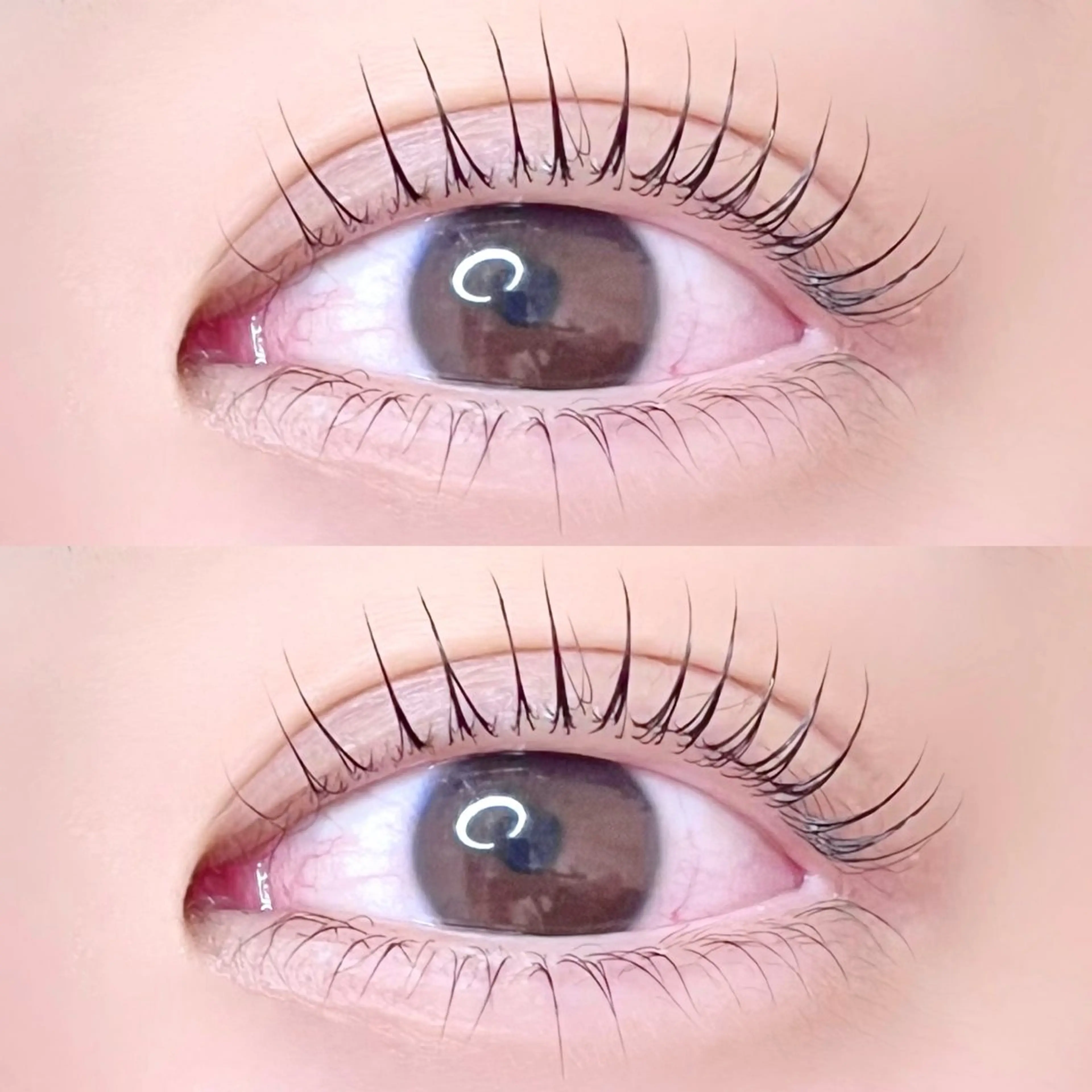 マツエク・マツパ ナチュラル 下まつげエクステ 一重×まつ毛パーマ 長尾 桃果 🫧 eyelistのマツエク・マツパデザイン