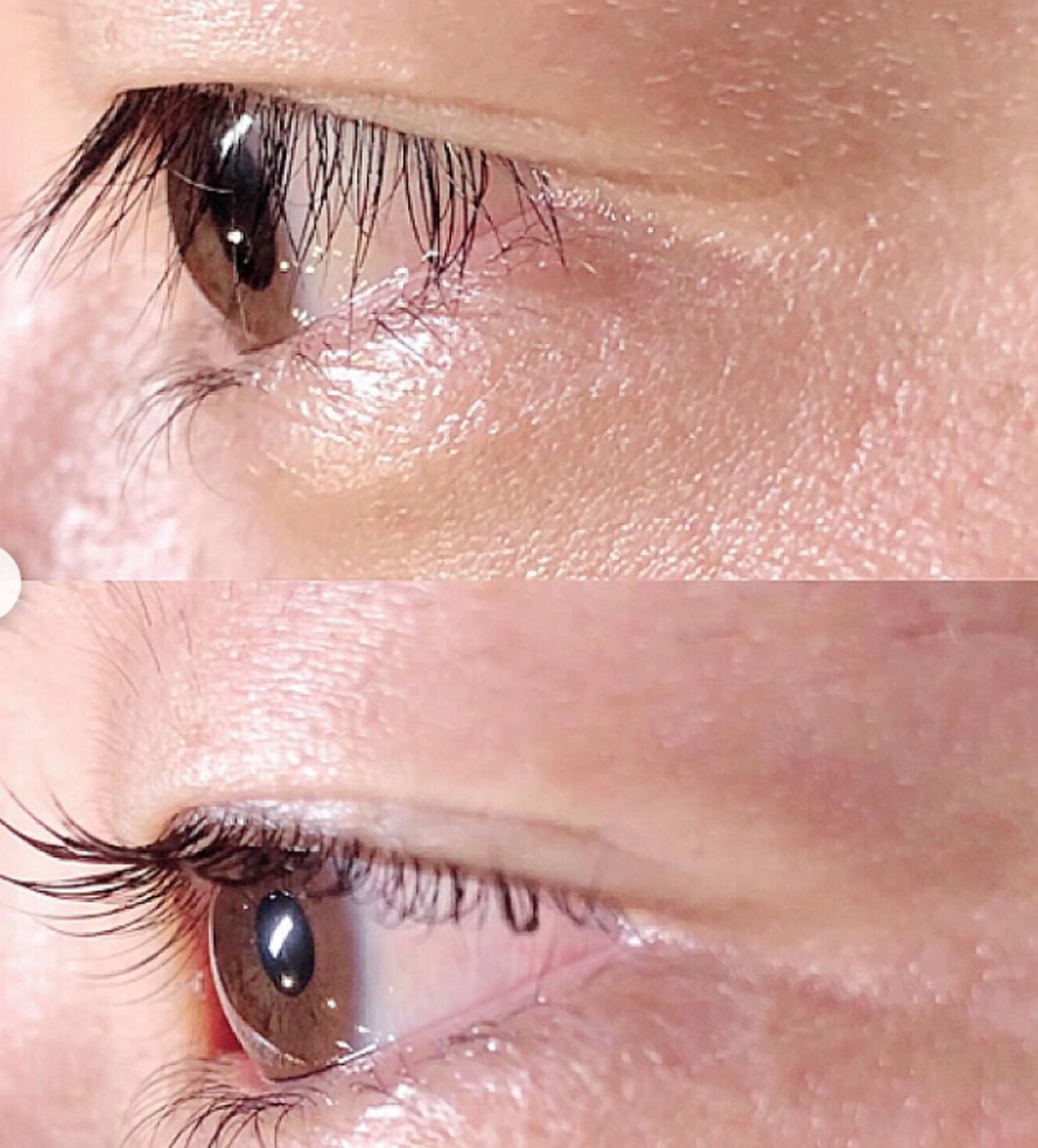 男性 まつげパーマミニモ限定価格5800円→4,800円の写真