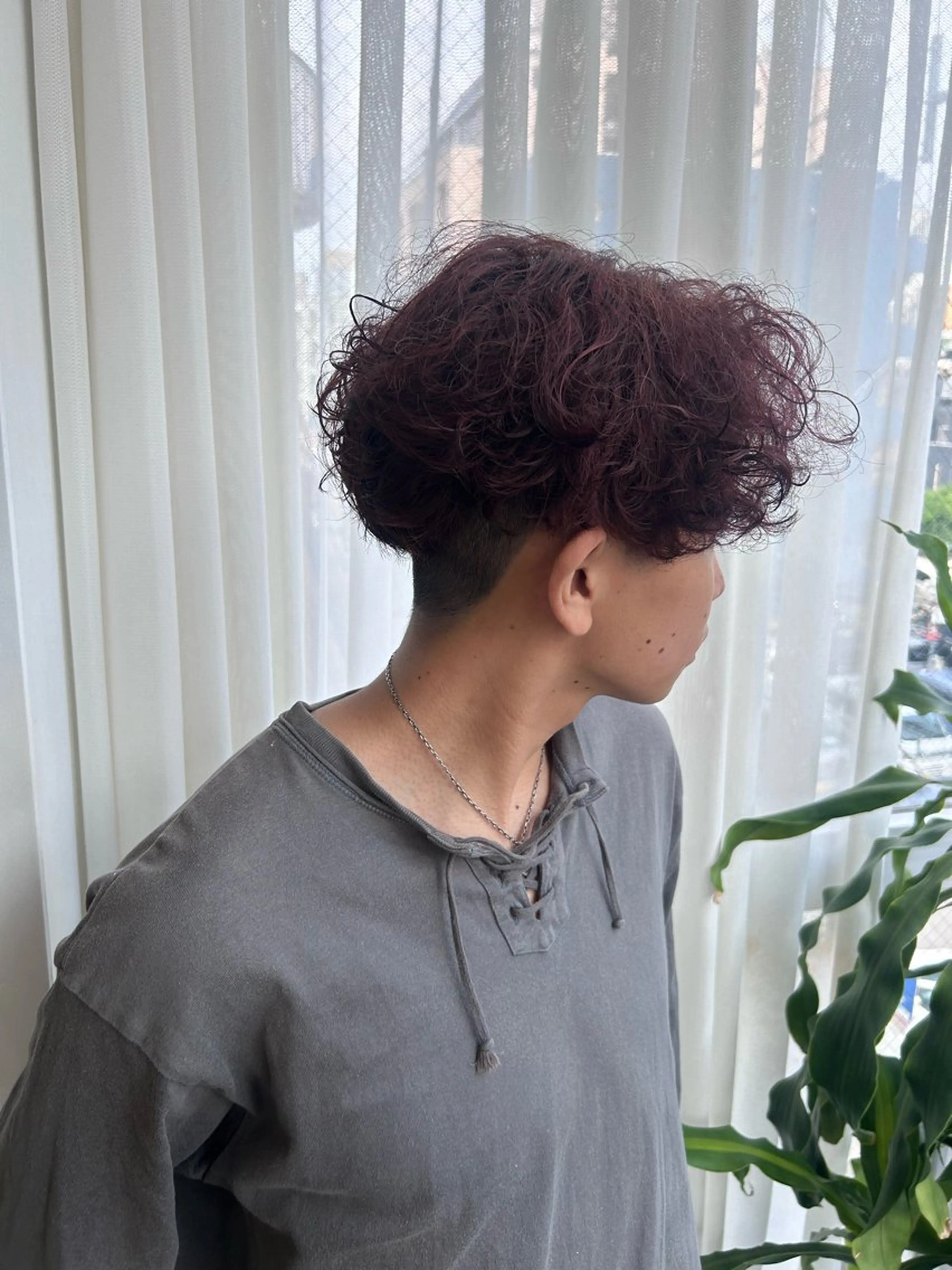 カラー 🐩🎀ness / ルリ🔮🍓のヘアスタイル