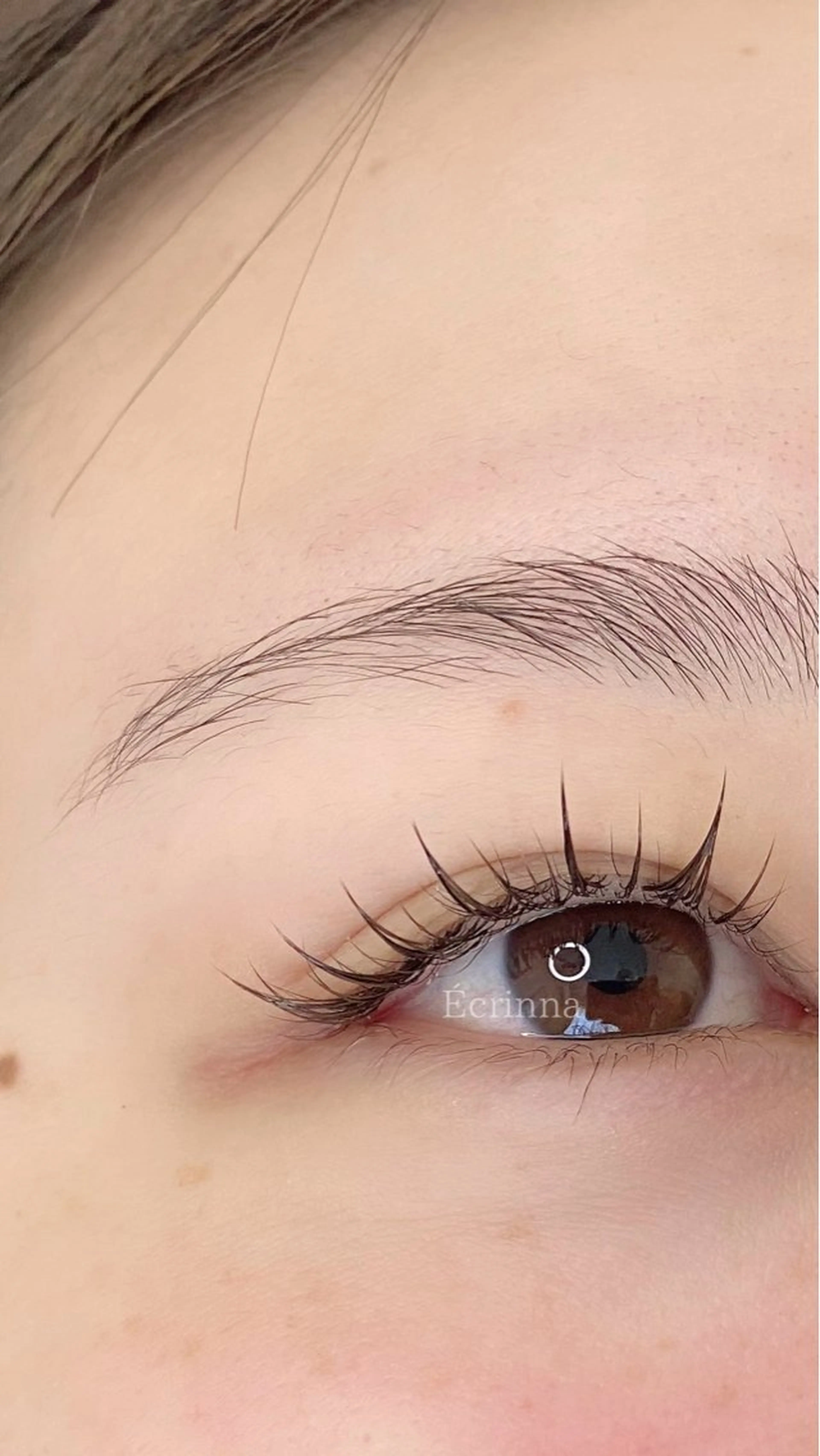 マツエク・マツパ Écrinna所属・Écrinna eyelashのマツエク・マツパデザイン