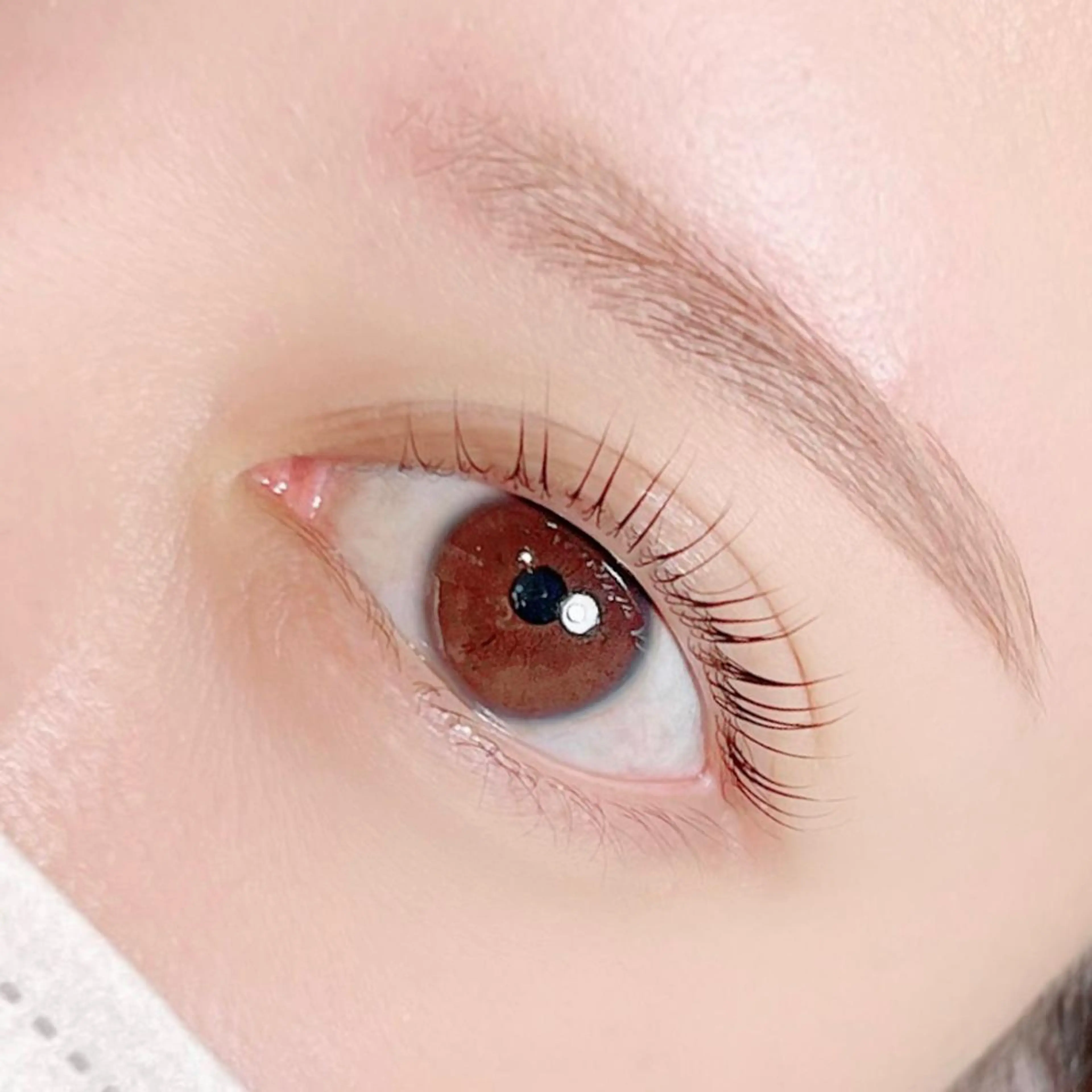 【上下まつげパーマ】パリジェンヌラッシュリフト /まつげパーマ＋下まつげパーマの写真