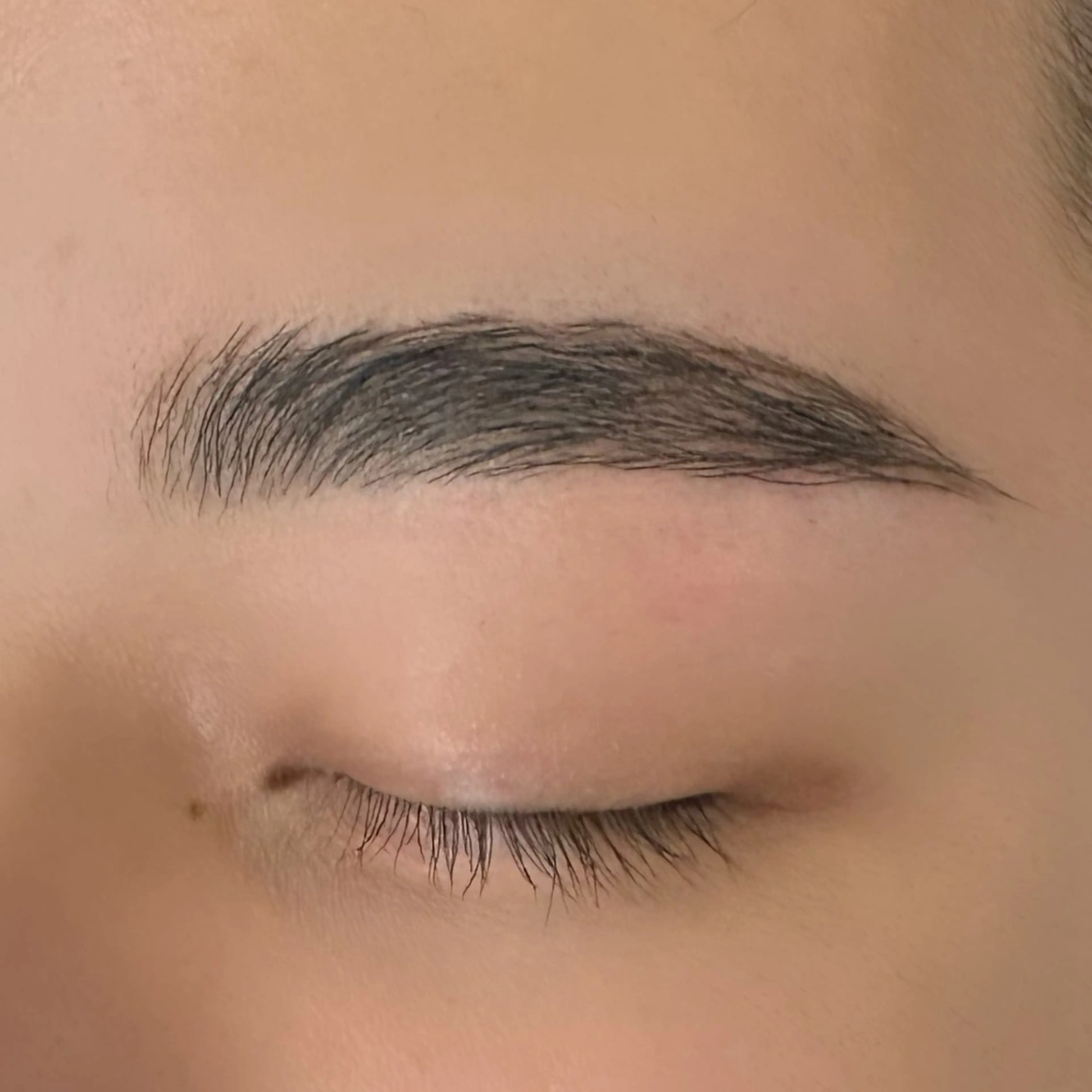 アイブロウ ワックス脱毛 眉カット その他(アイブロウ) 🦋Code.🦋 eyelash🩵の眉毛・アイブロウイメージ