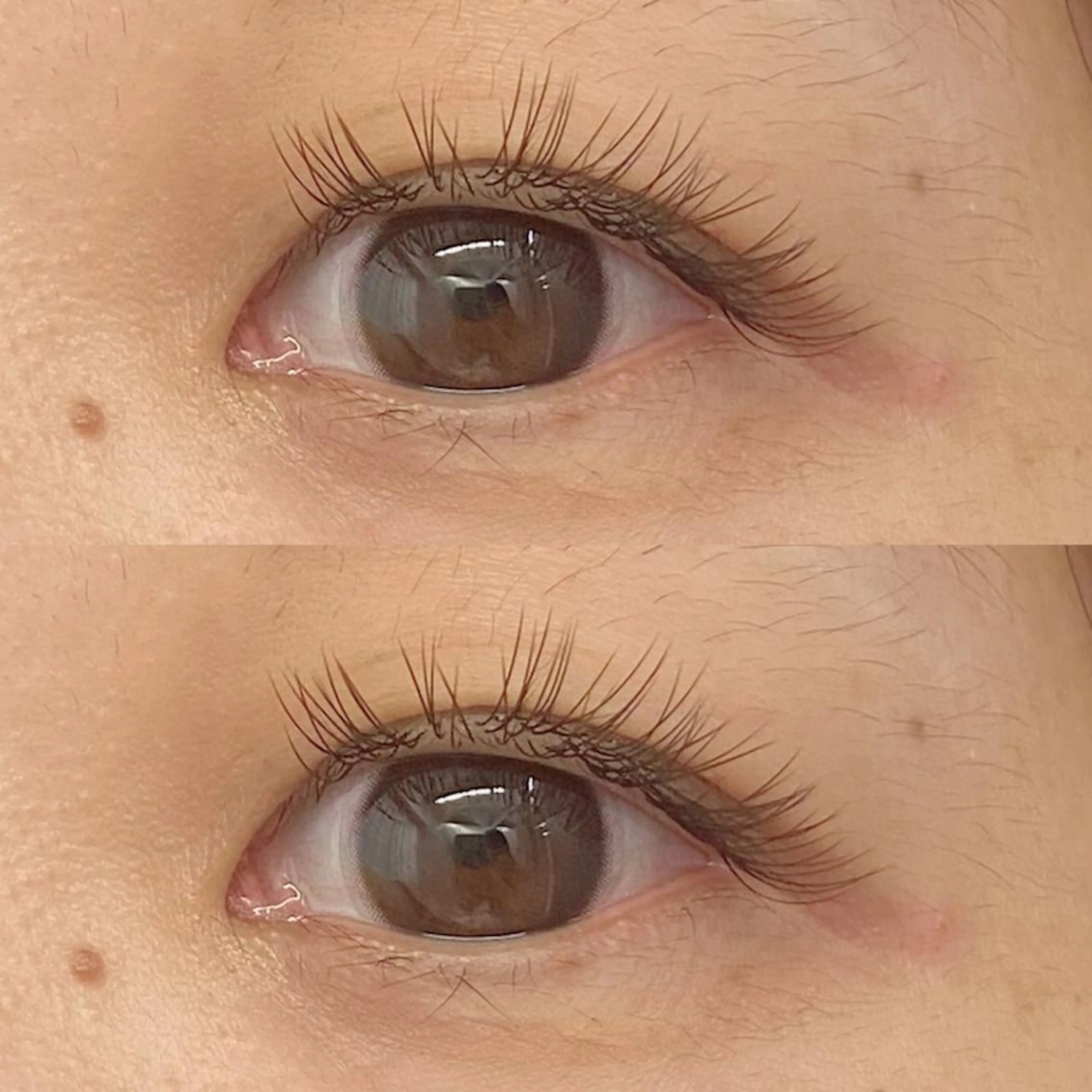 マツエク・マツパ マツエク Favori 川上のマツエク・マツパデザイン