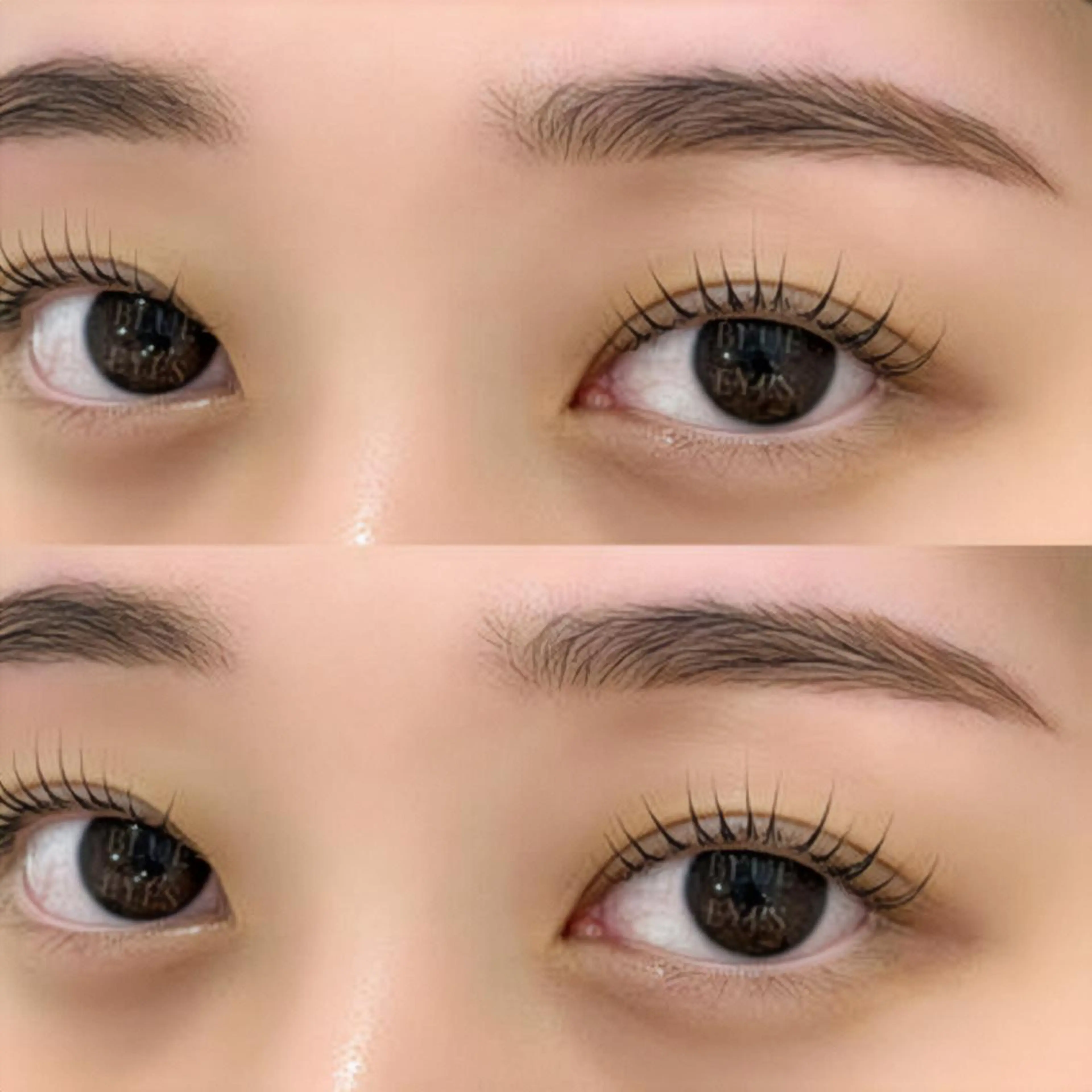 マツエク・マツパ 束感まつ毛 CHIBA🦋パーマ ナチュラル美眉の眉毛・アイブロウイメージ