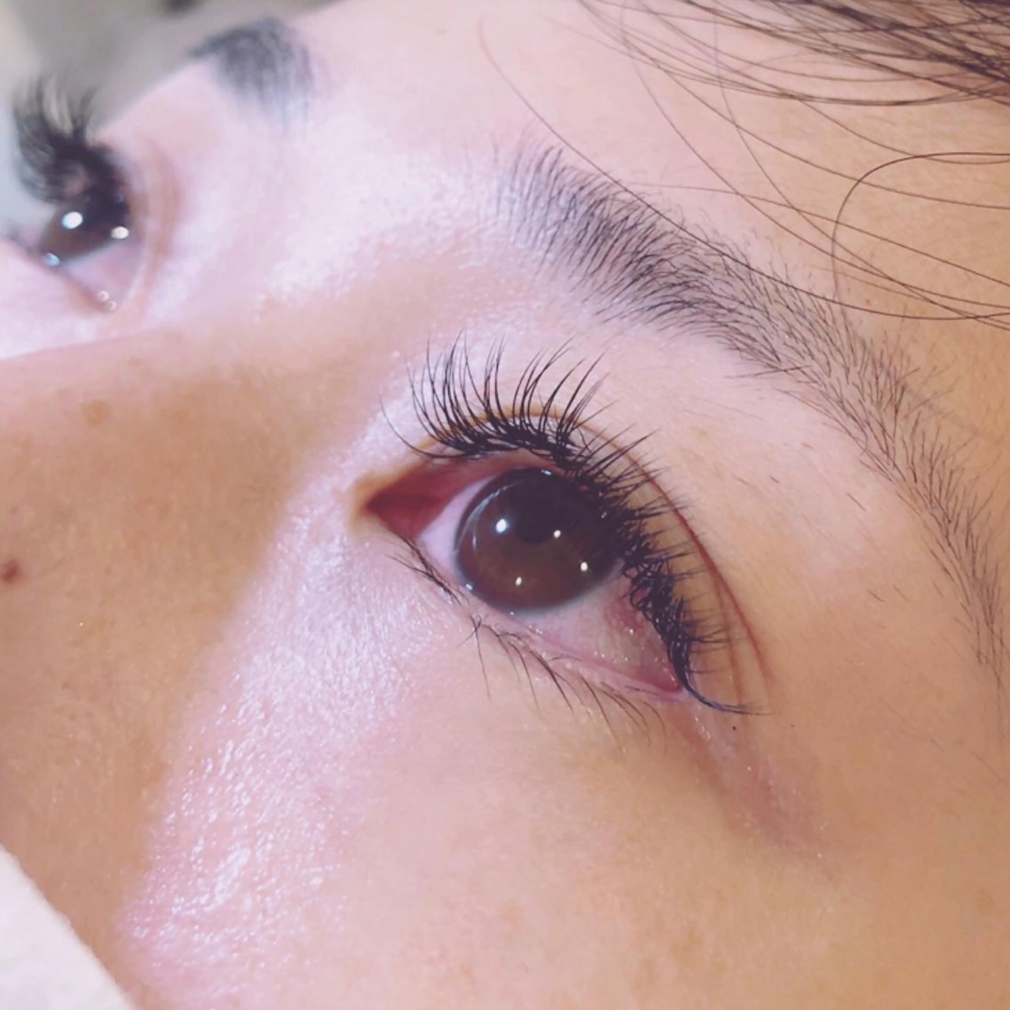 マツエク・マツパ Cカール キュート nekoRu アイラッシュのマツエク・マツパデザイン