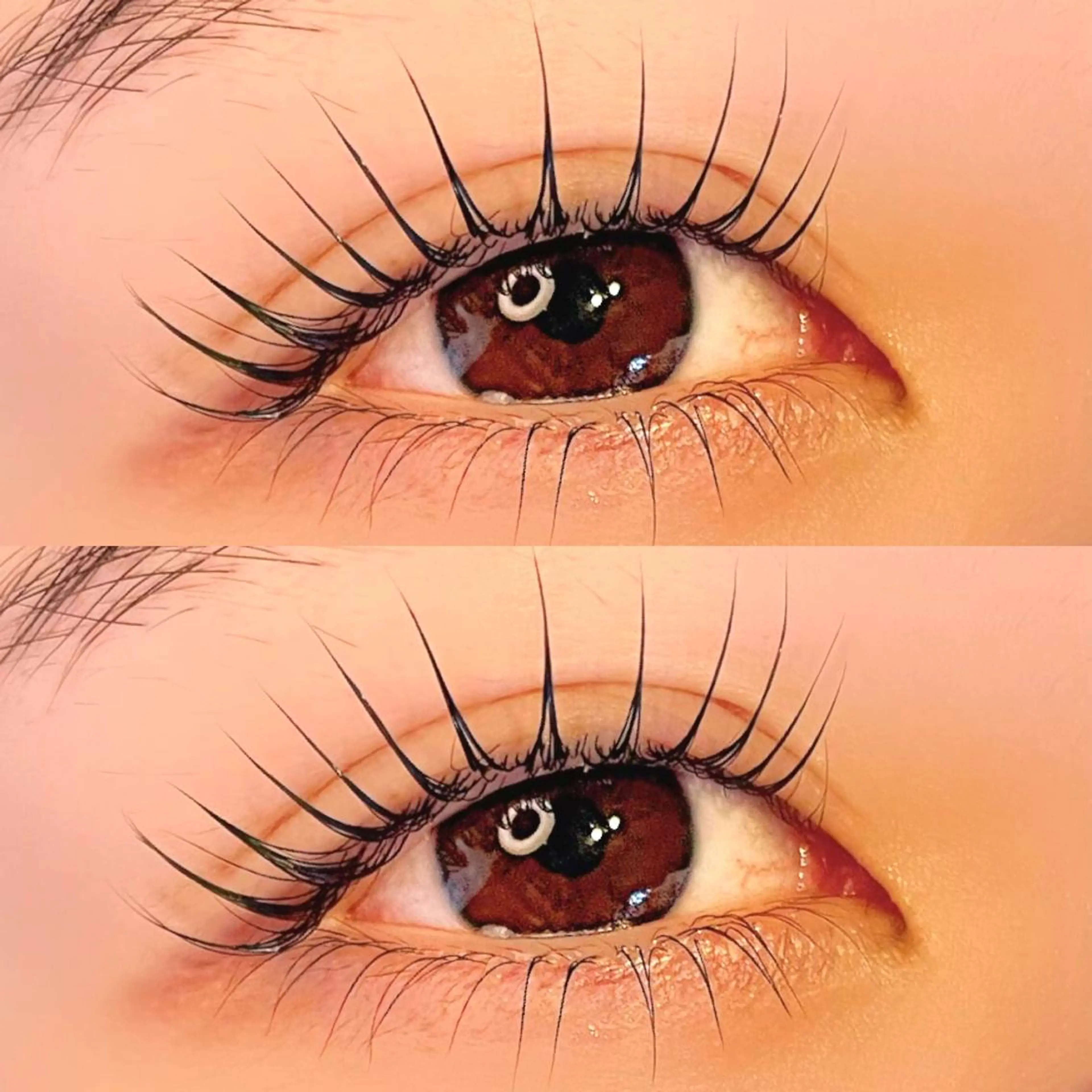 ラッシュリフト【上下】アイシャンプー+トリートメント付き🫧数十種類のロッドからご希望に沿うものを使用します💎の写真