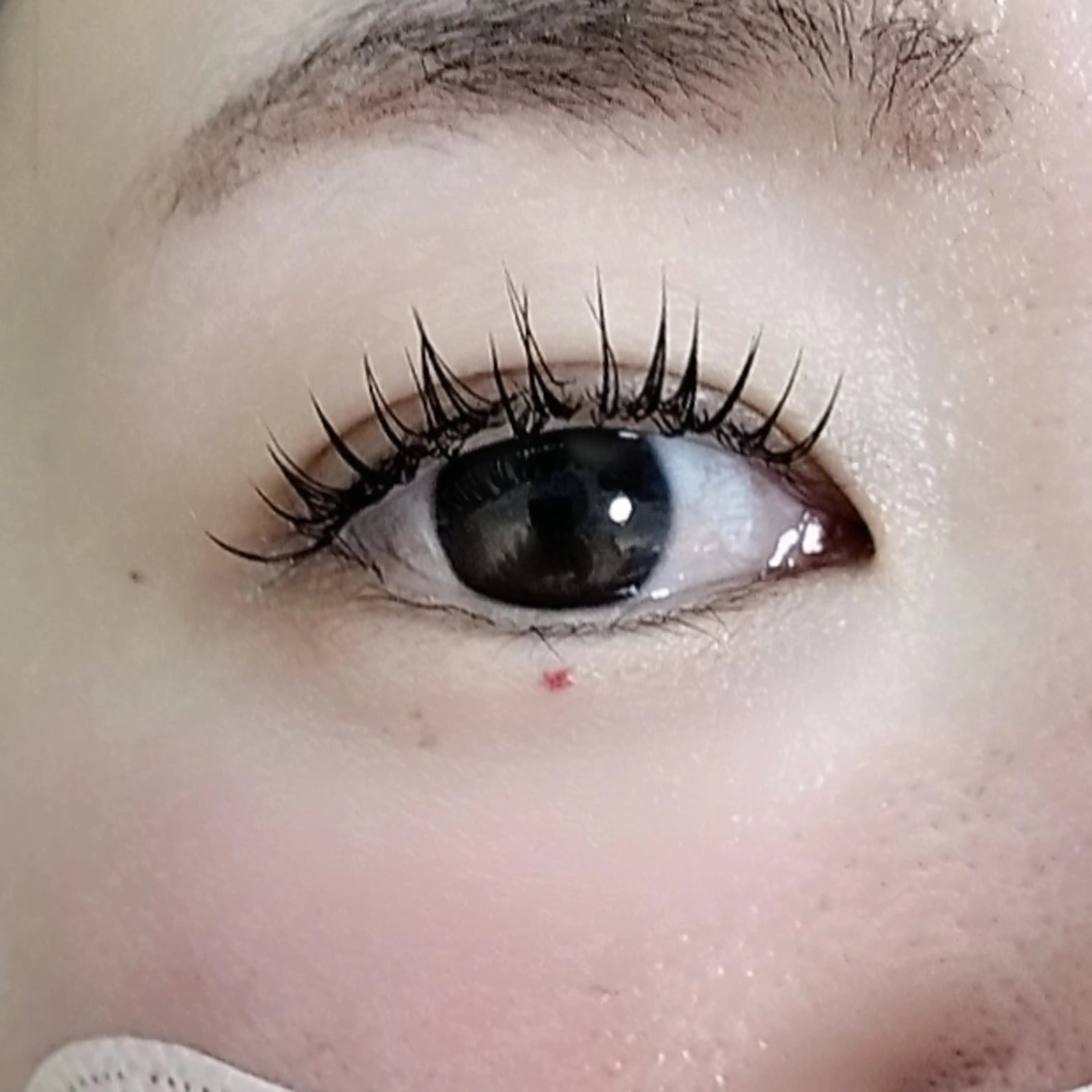 【ご新規様限定✨】断然もちがいい✨LEDマツエク付け放題の写真