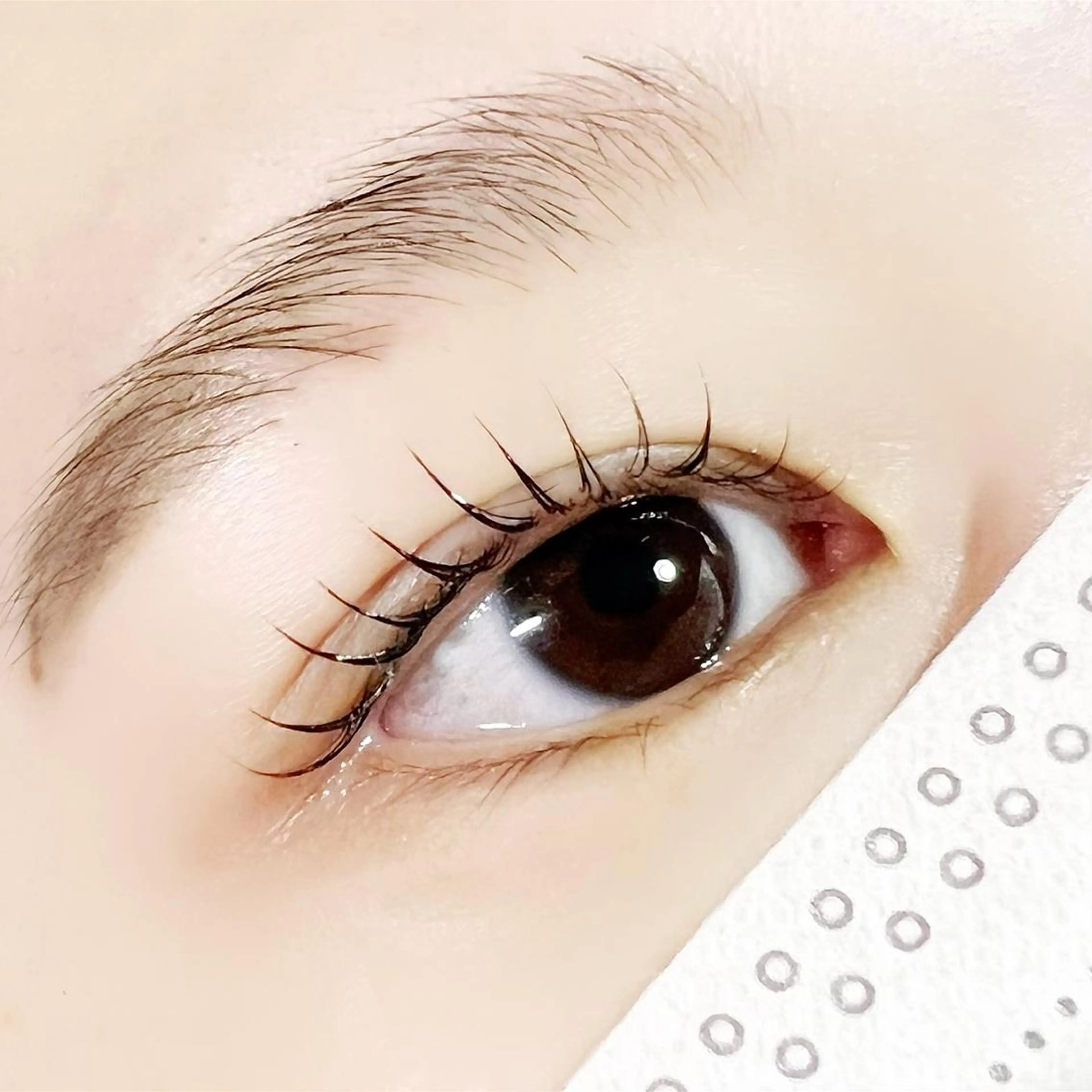 マツエク・マツパ まつげパーマ satoko yoshida所属・Yoshida Satokoのマツエク・マツパデザイン