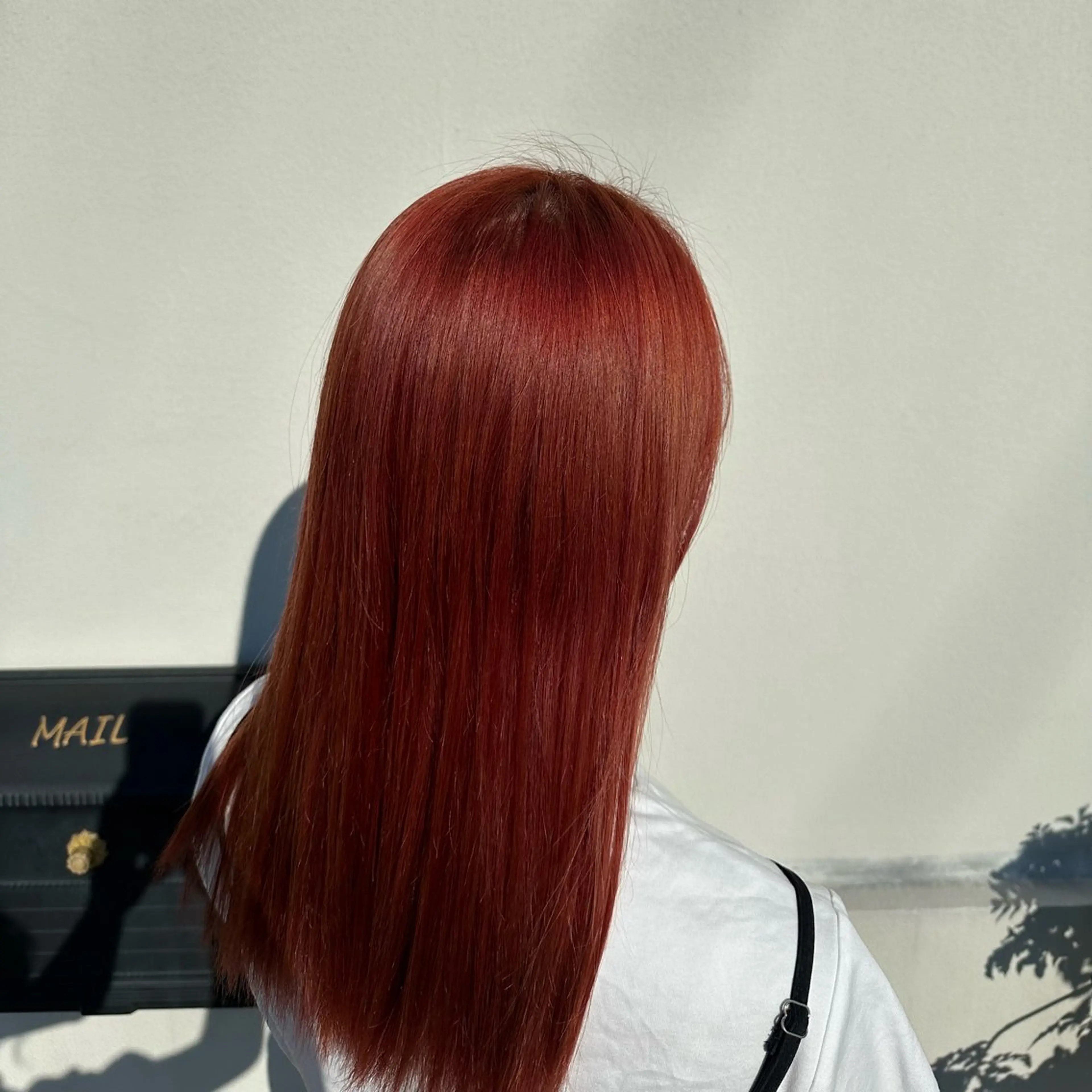 カラー ダブルカラー ハイトーンカラー レッドカラー 岩本みるか/ 暖色カラー/ベージュのヘアスタイル