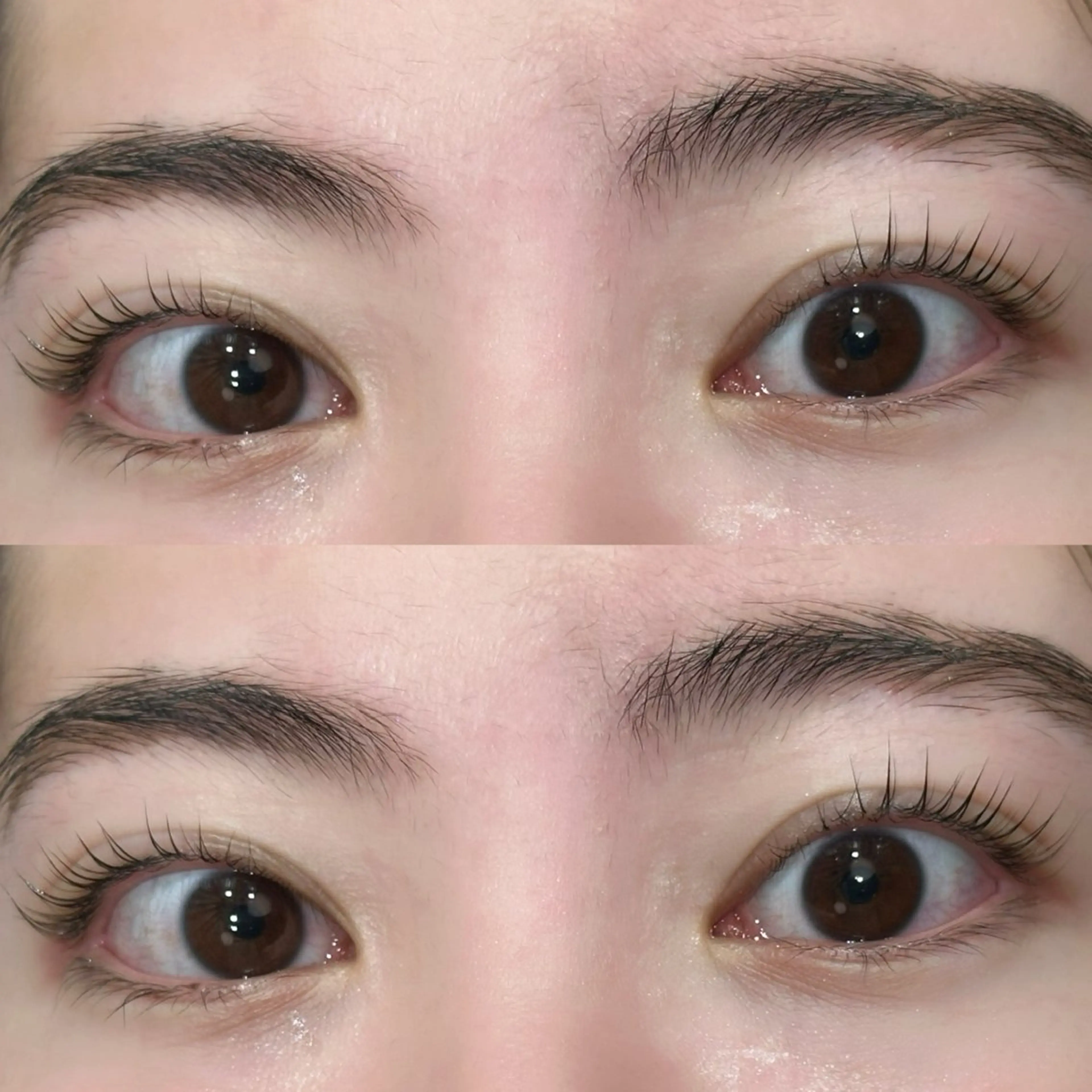 マツエク・マツパ マツパ 🎀韓国レイヤー特化 🎀ベージュ/ミクのヘアスタイル