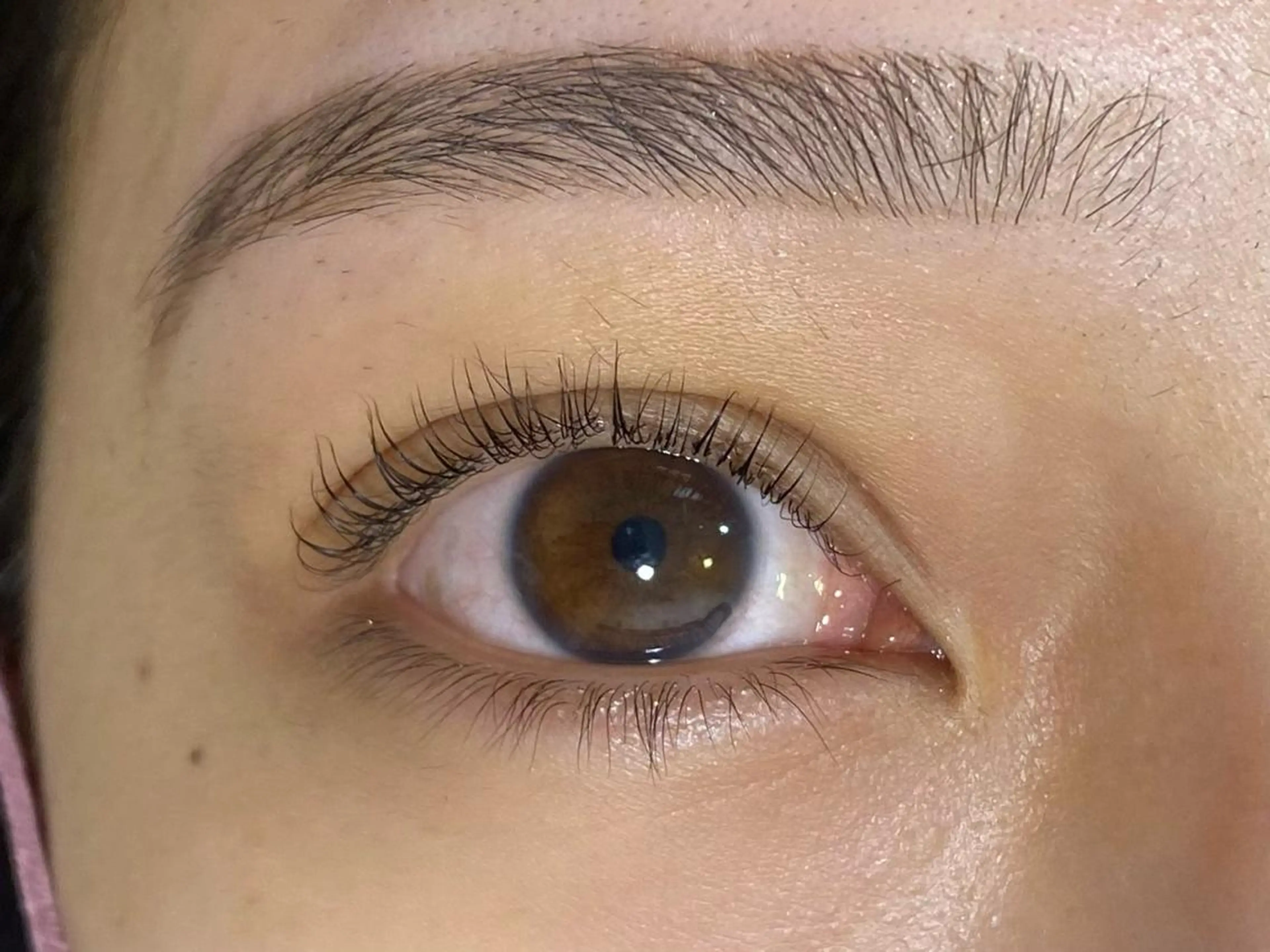 マツエク・マツパ パリジェンヌラッシュリフト マツパ mocca🕊🫧 ayamiのマツエク・マツパデザイン