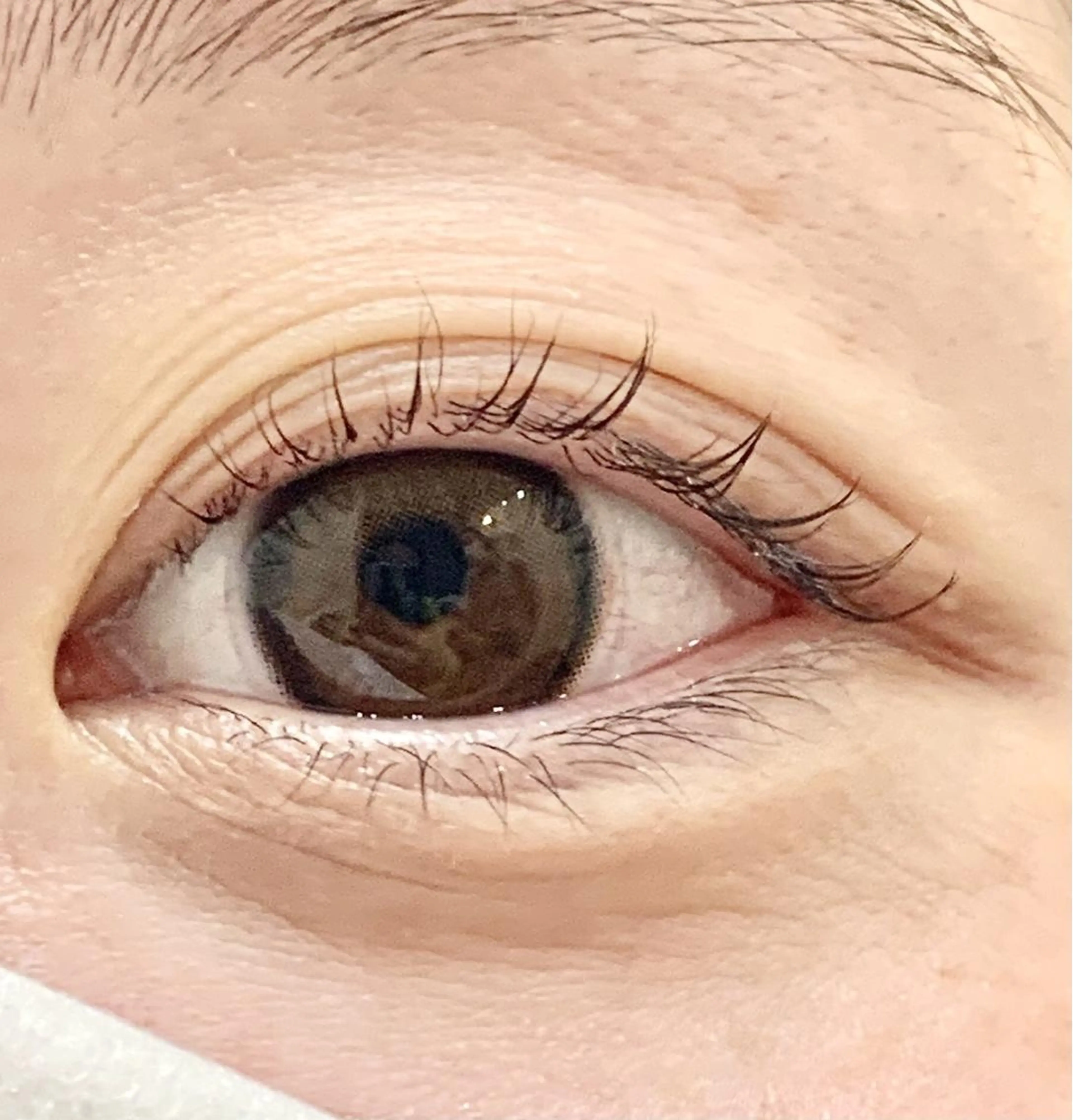 マツエク・マツパ マツパ Beaute YUMIのマツエク・マツパデザイン