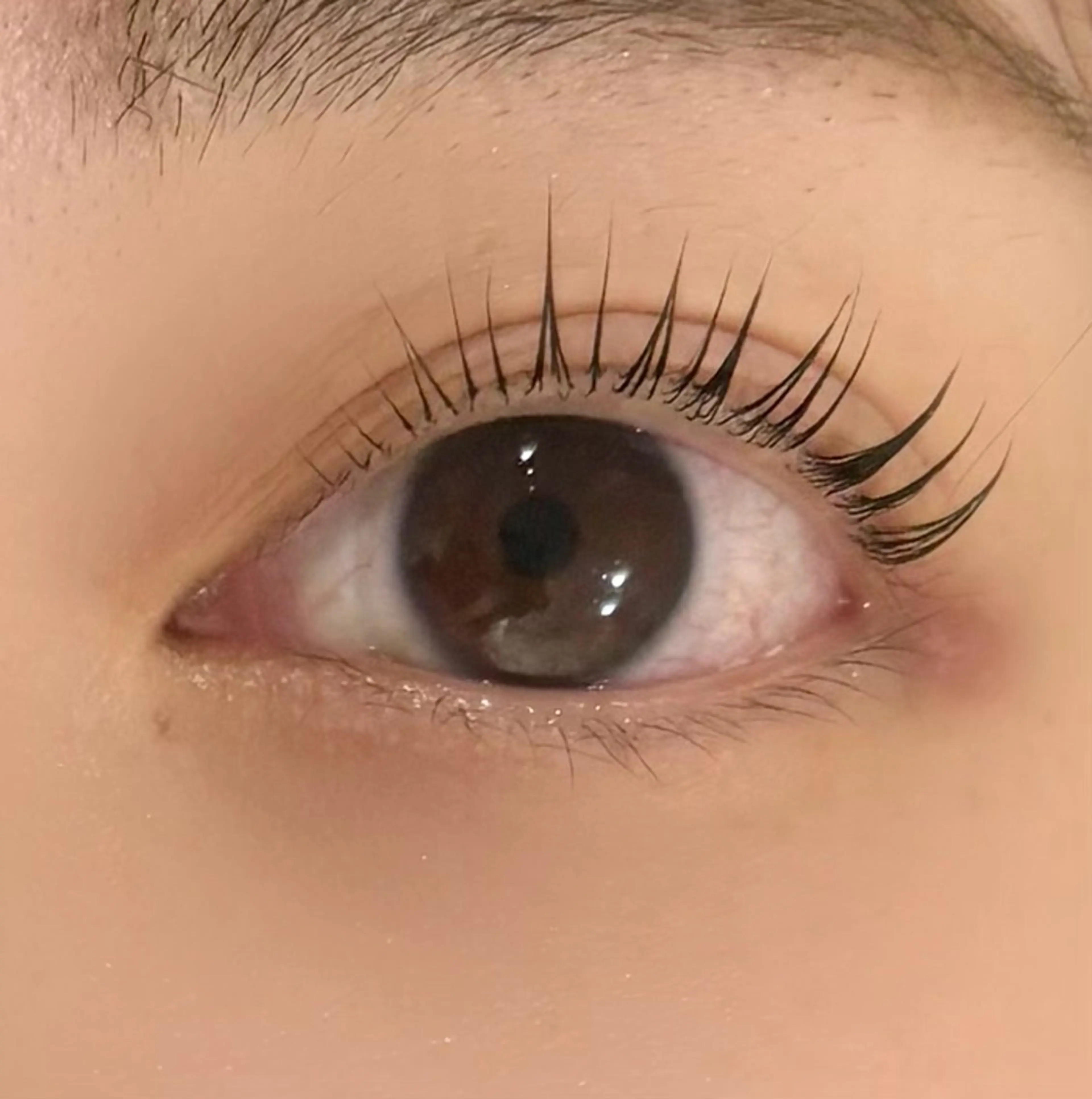 マツエク・マツパ パリジェンヌラッシュリフト まつげパーマ Belle所属・Belle 京橋店 吉本のマツエク・マツパデザイン