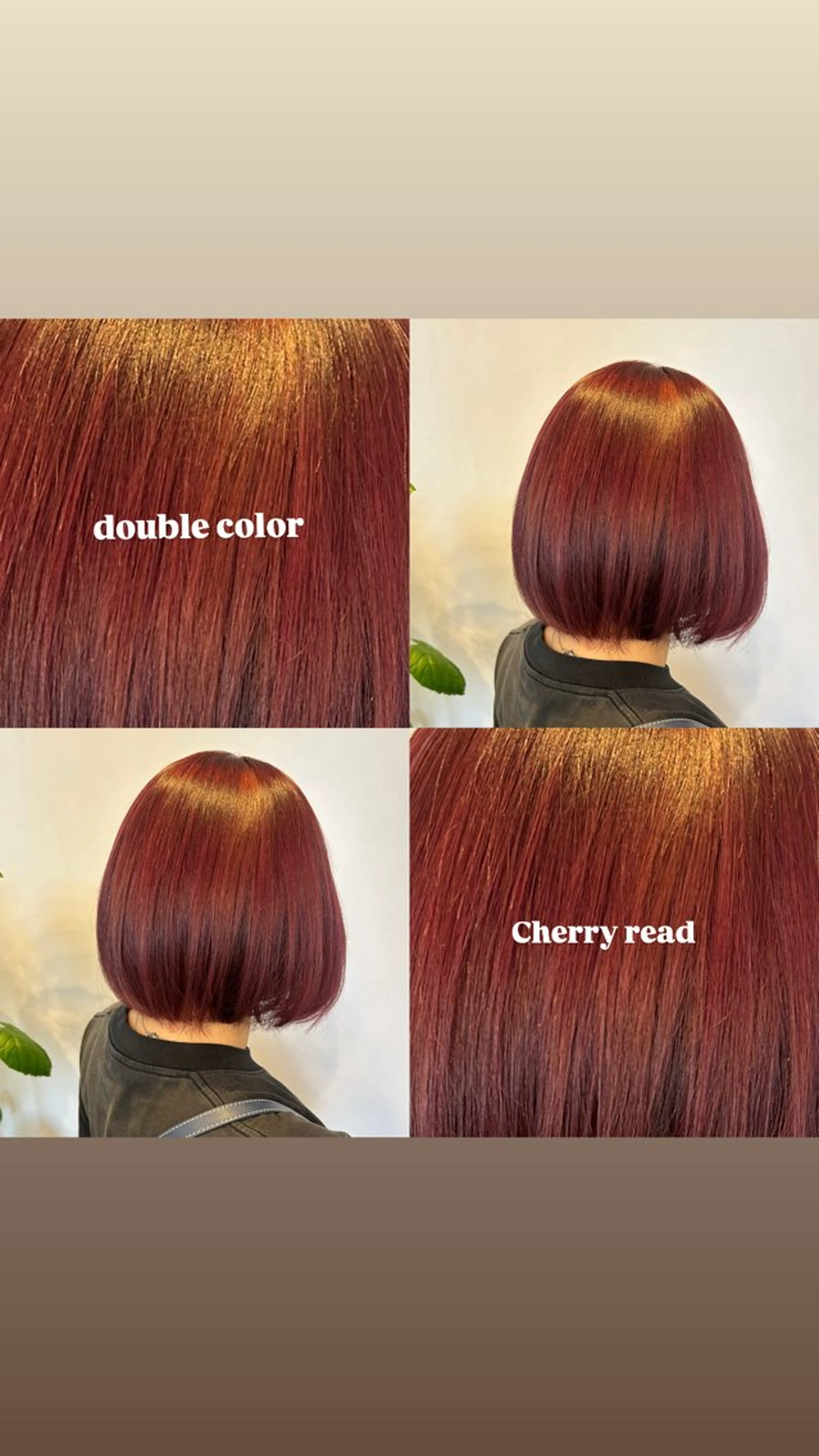 カラー 🫧✨今村 光希✨🫧のヘアスタイル