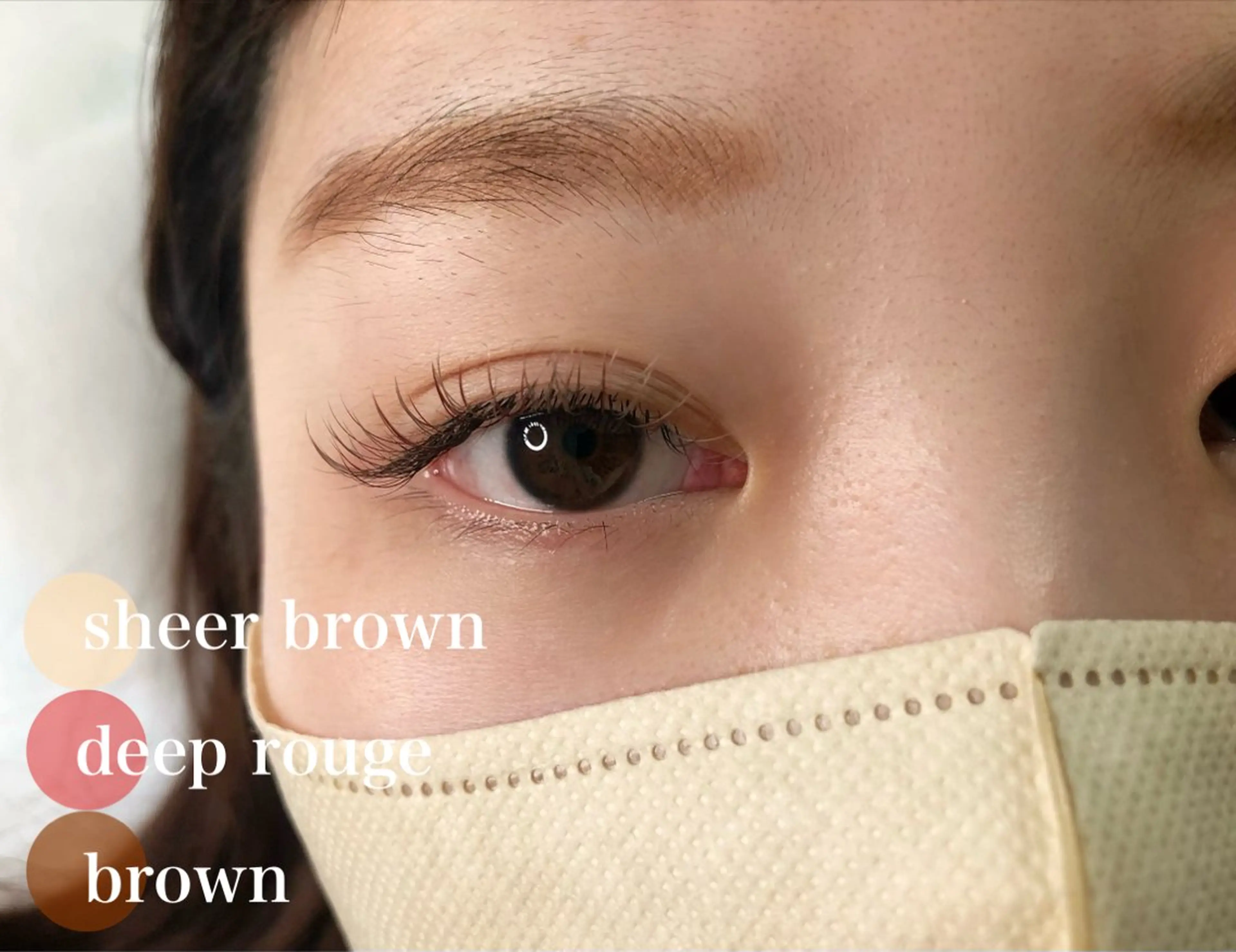 【優しい目元に♡】カラーフラットラッシュ☆ロイッシュカラー100本¥4800の写真