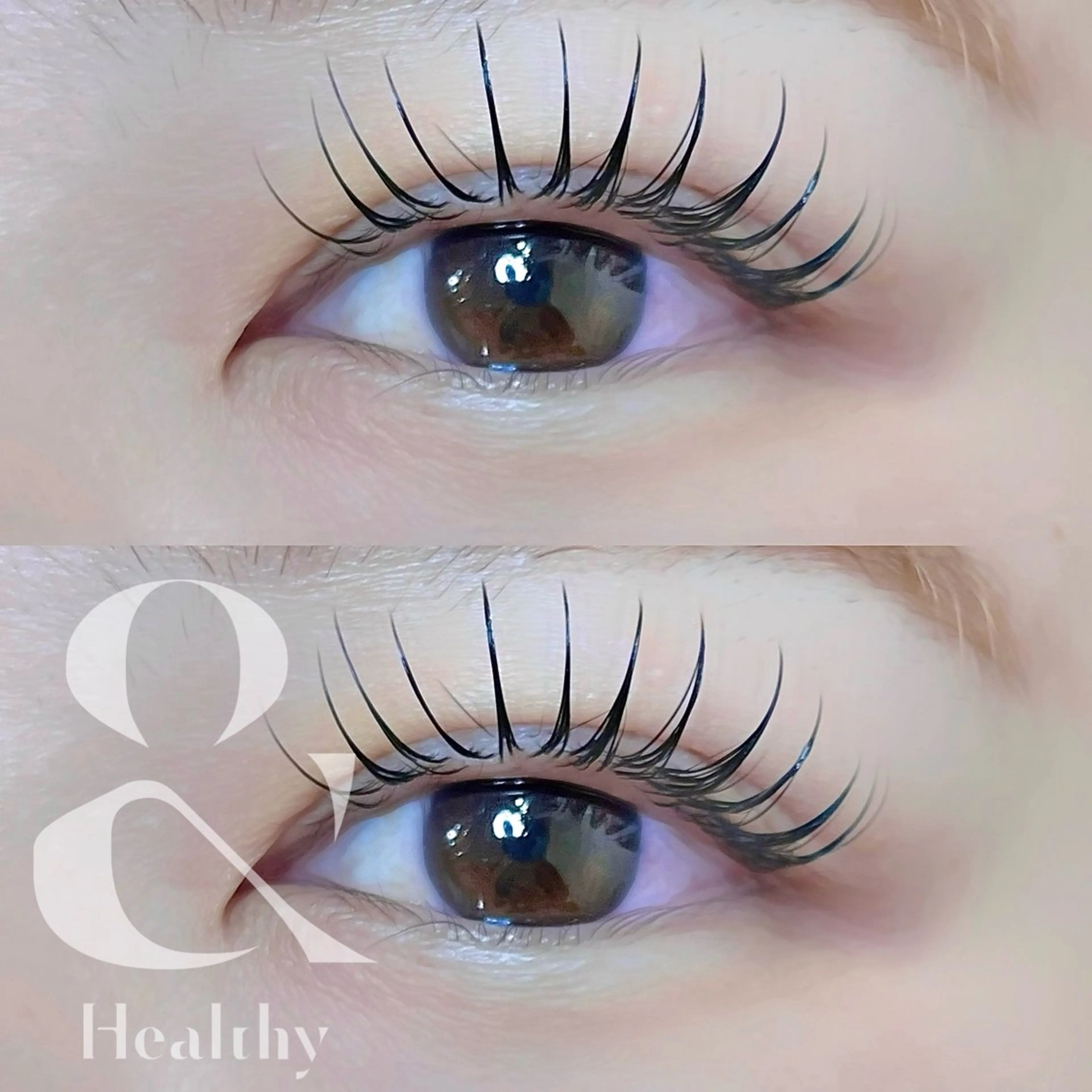 マツエク・マツパ 一重×まつ毛パーマ LASH muse .のマツエク・マツパデザイン