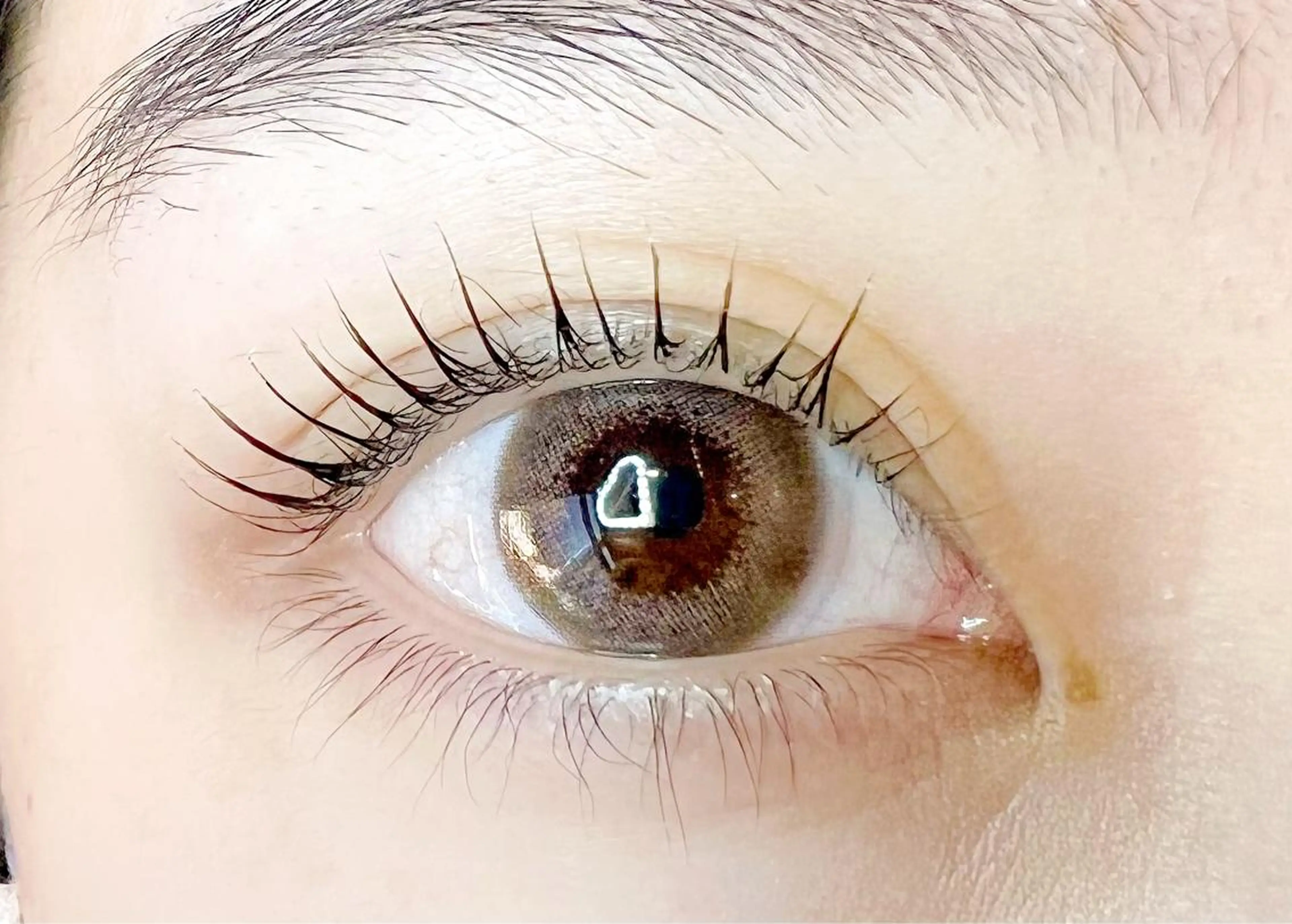 マツエク・マツパ パリジェンヌラッシュリフト Celeste Venus所属・🧸Celeste Venusのマツエク・マツパデザイン