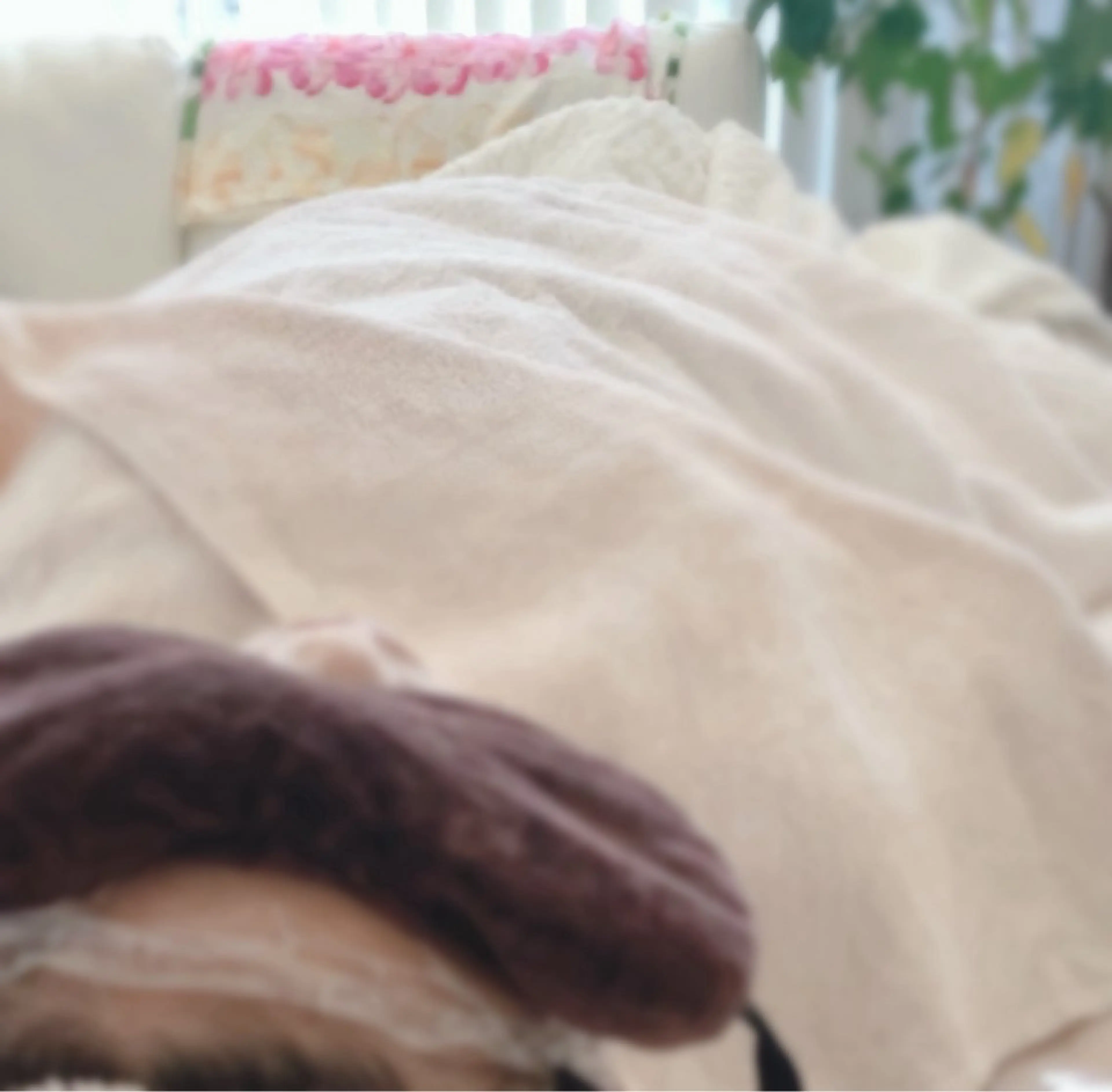 エステ BLOOM〜 天恵（てんのめぐみ）のエステ・リラクイメージ