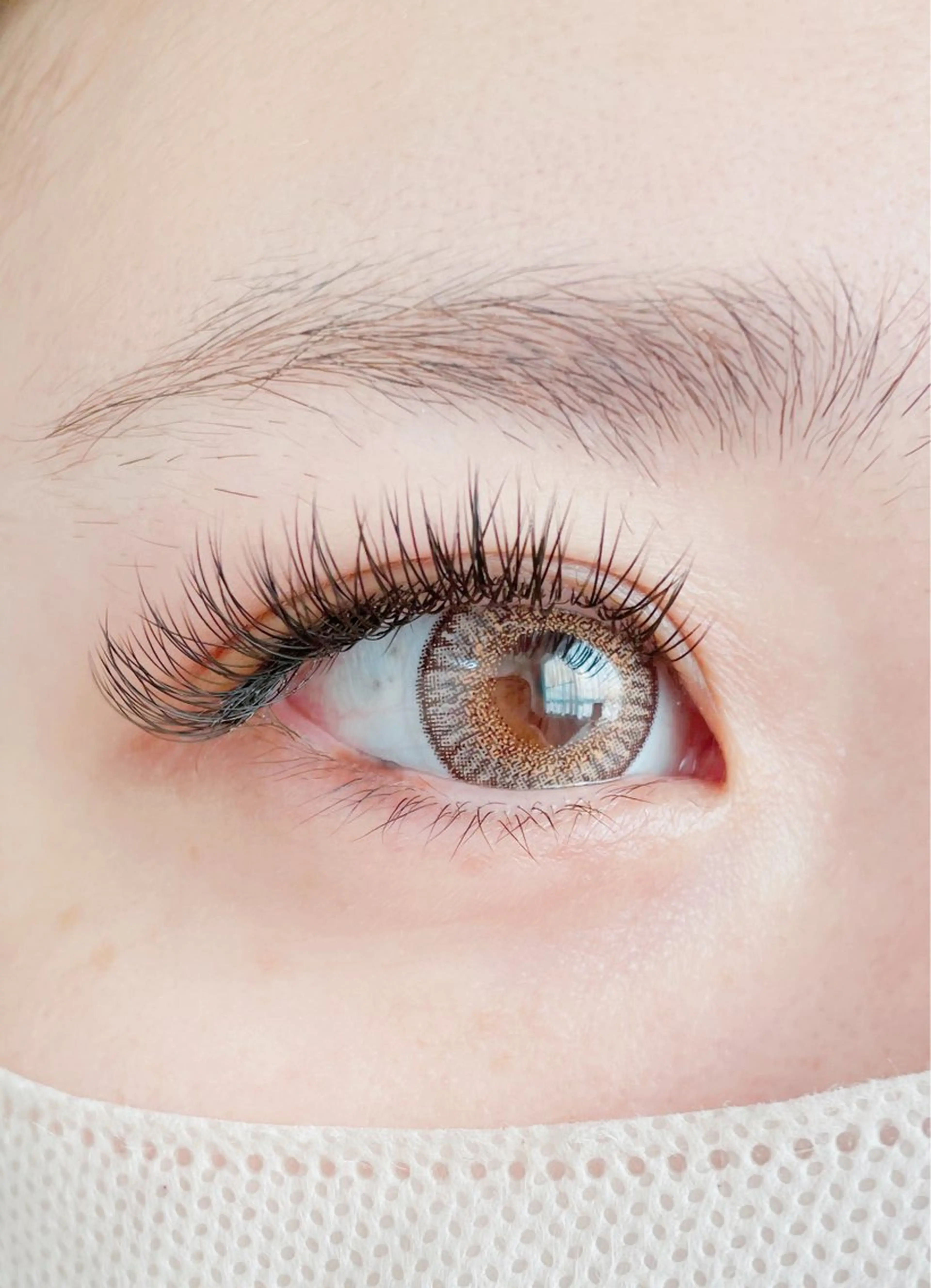 LEDフラット90分つけ放題❤️オフ込み✨無添加美容液付きの写真