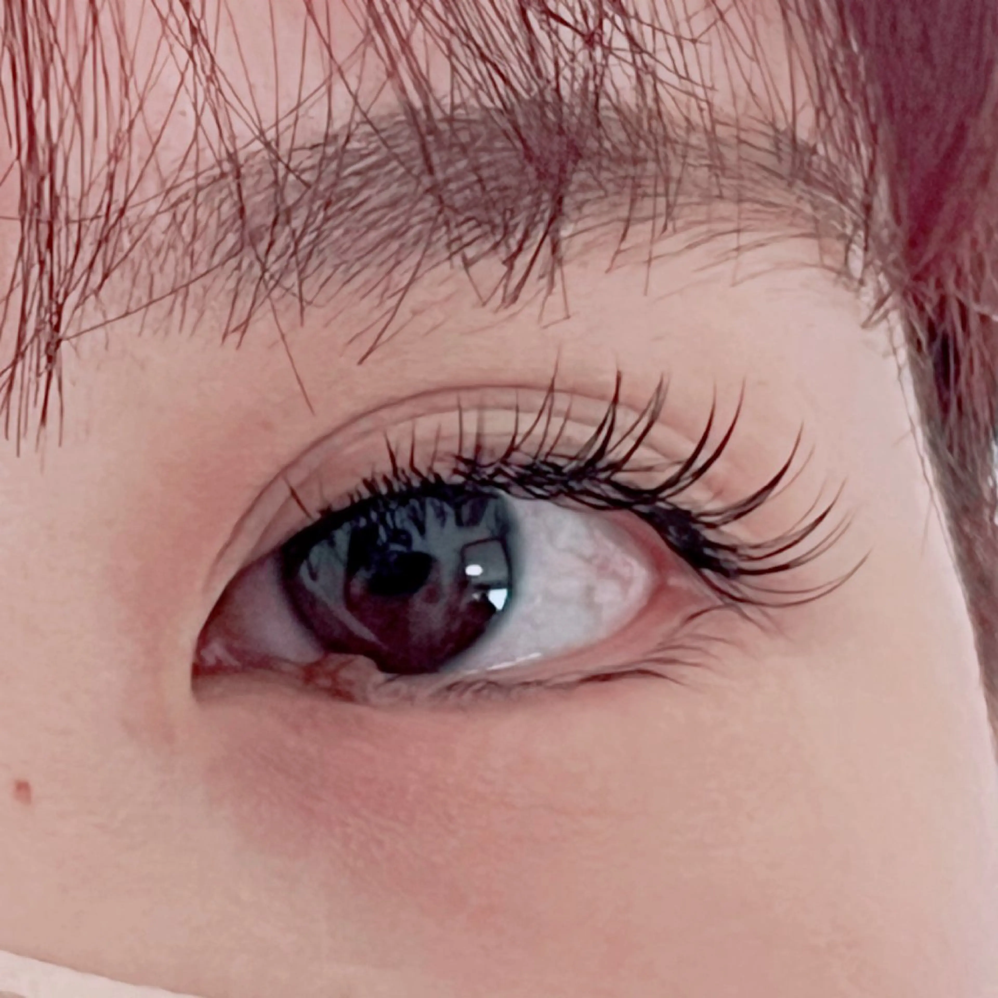 マツエク・マツパ フラットラッシュ マツエク annabelle 大野のマツエク・マツパデザイン