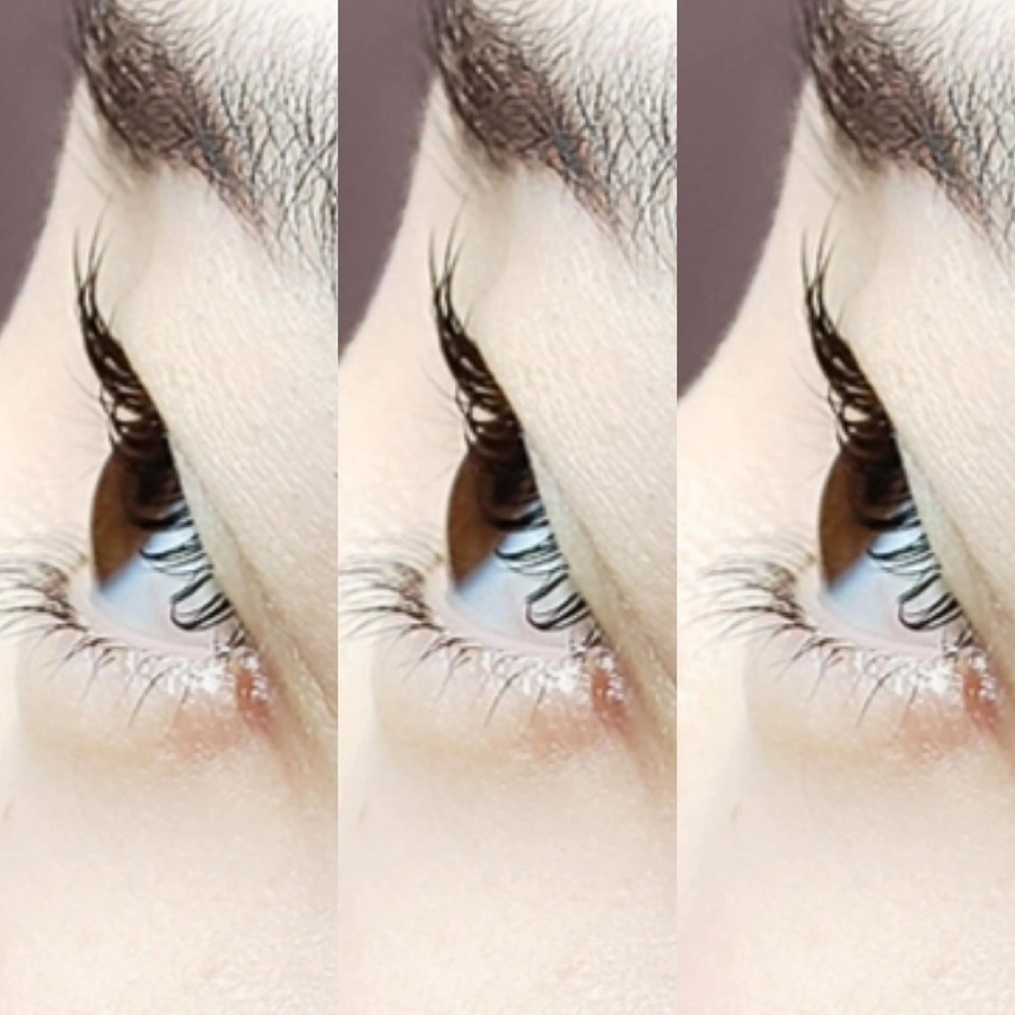 マツエク・マツパ sHeeR【シアー】 ハマナカのマツエク・マツパデザイン