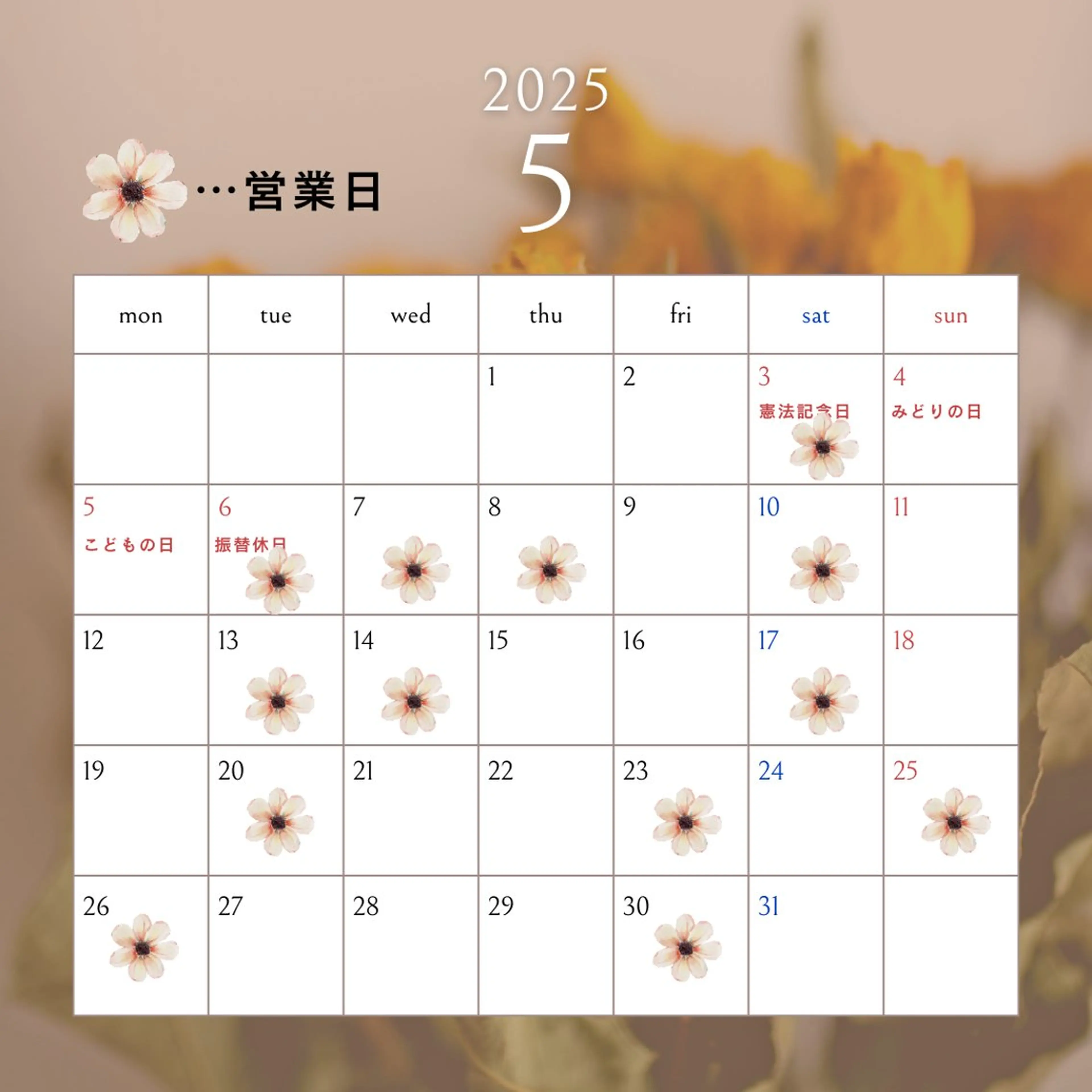 マツエク・マツパ Tani seikaのマツエク・マツパデザイン