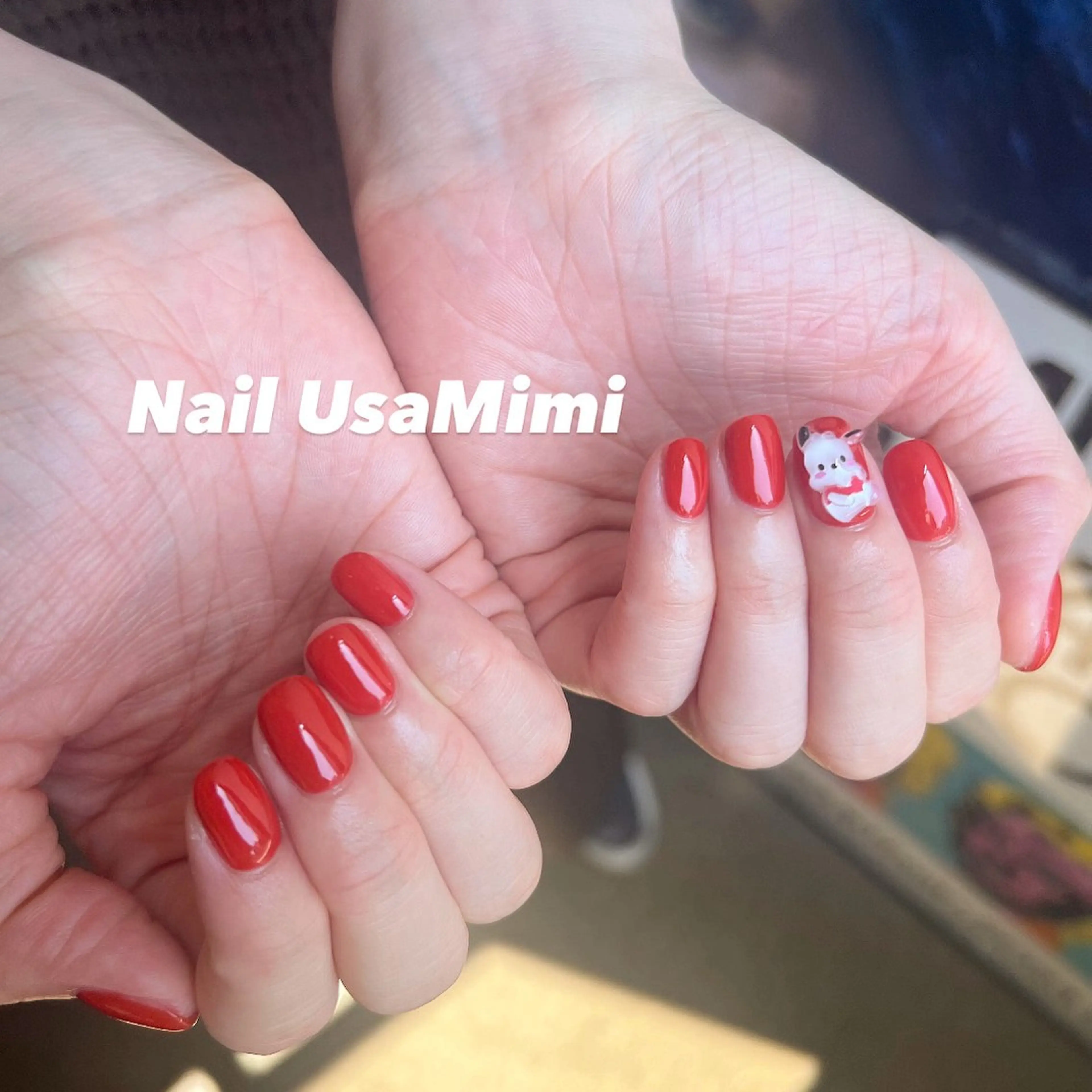 ネイル ジェルネイル 韓国ネイル マグネットネイル 持ち込み ワンカラーネイル 本町NailUsa Mimi RIKOのネイルデザイン