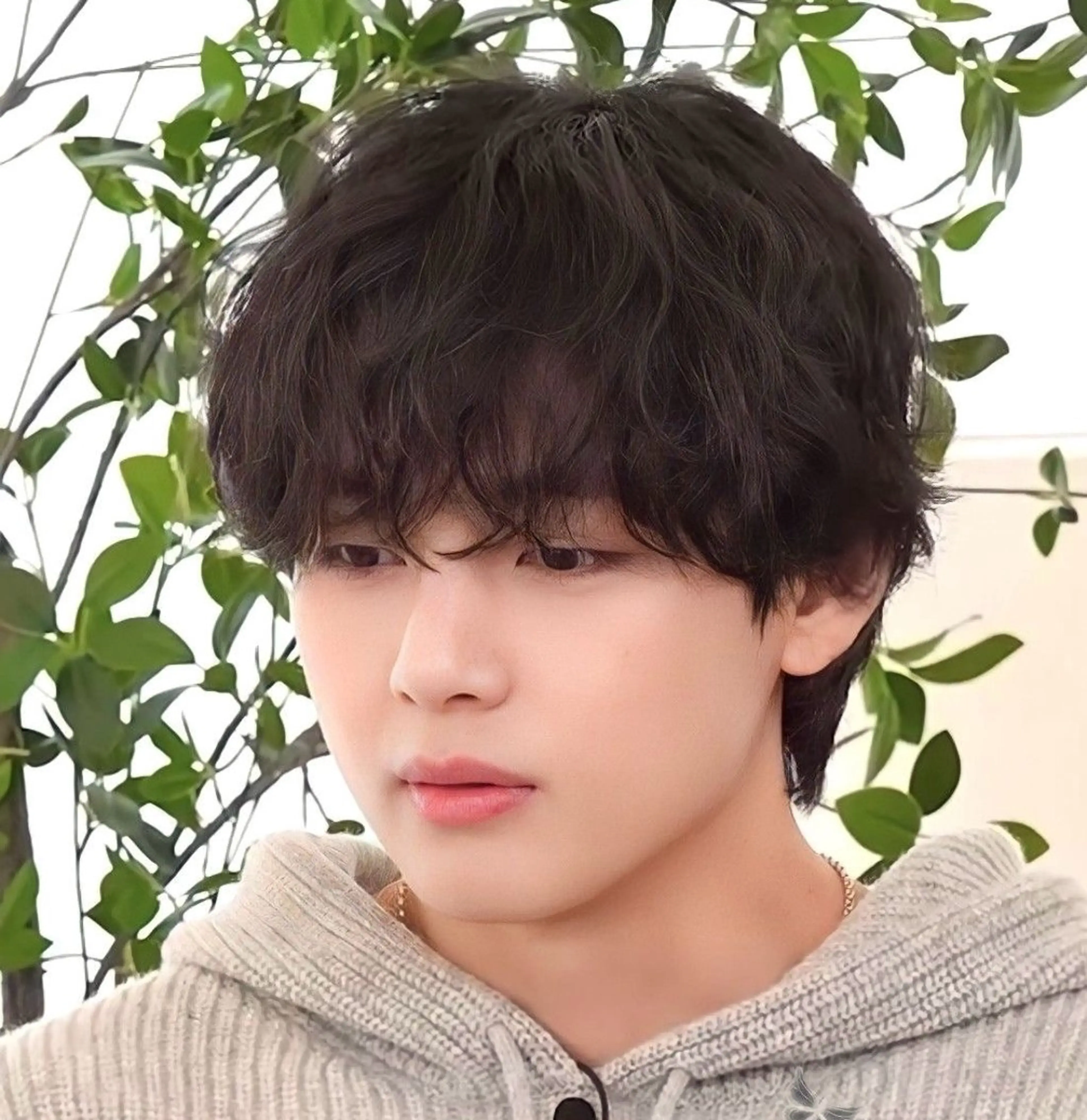 ミディアム ミディアムパーマ MEN'S HAIR SENSE BLUE渋谷宇田川交番前所属・モモ 渋谷メンズ特化美容師のヘアスタイル