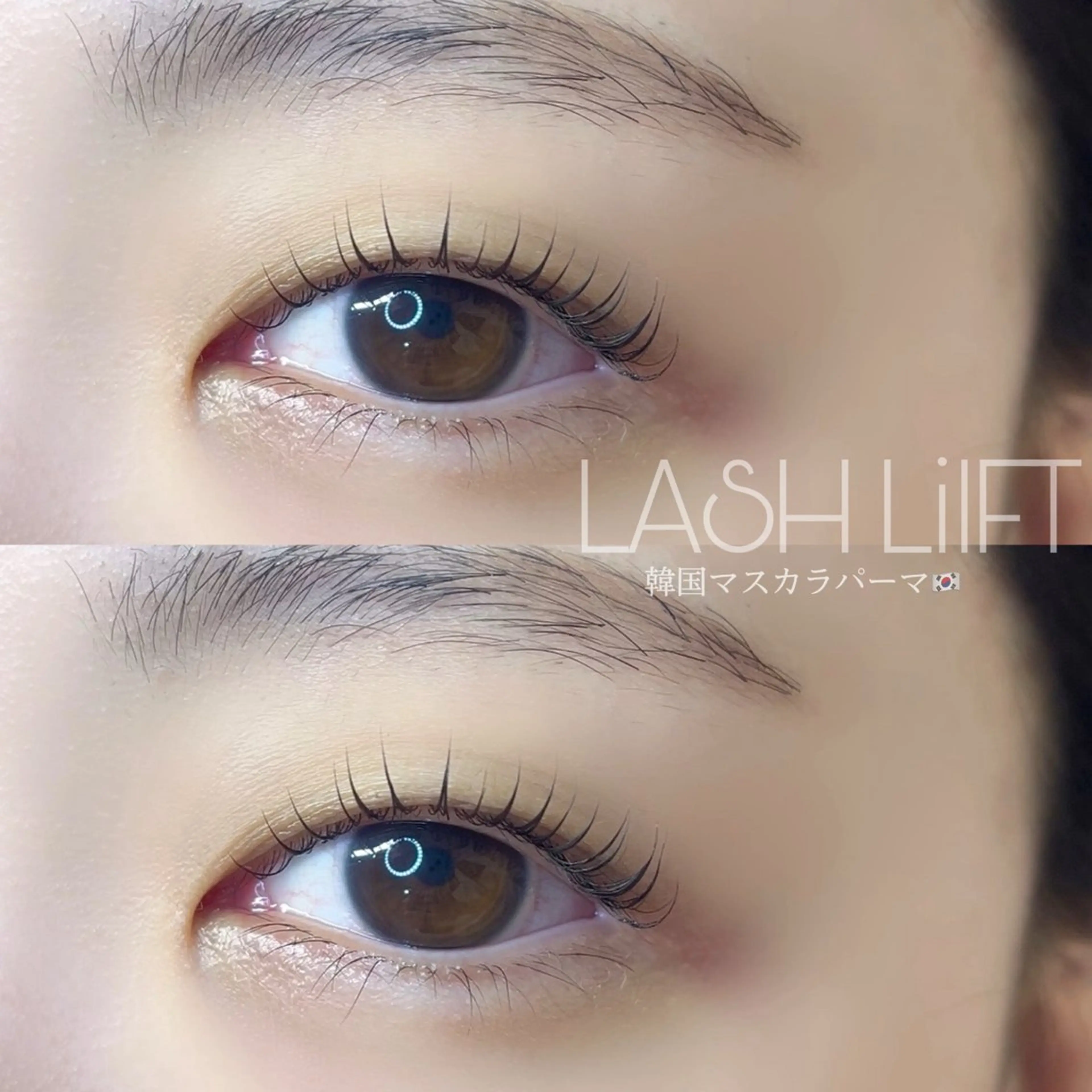 ãããšã¯ã»ããã ããã IKUMI ãð®ð¥ð®ãã®ãããšã¯ã»ããããã¶ã€ã³