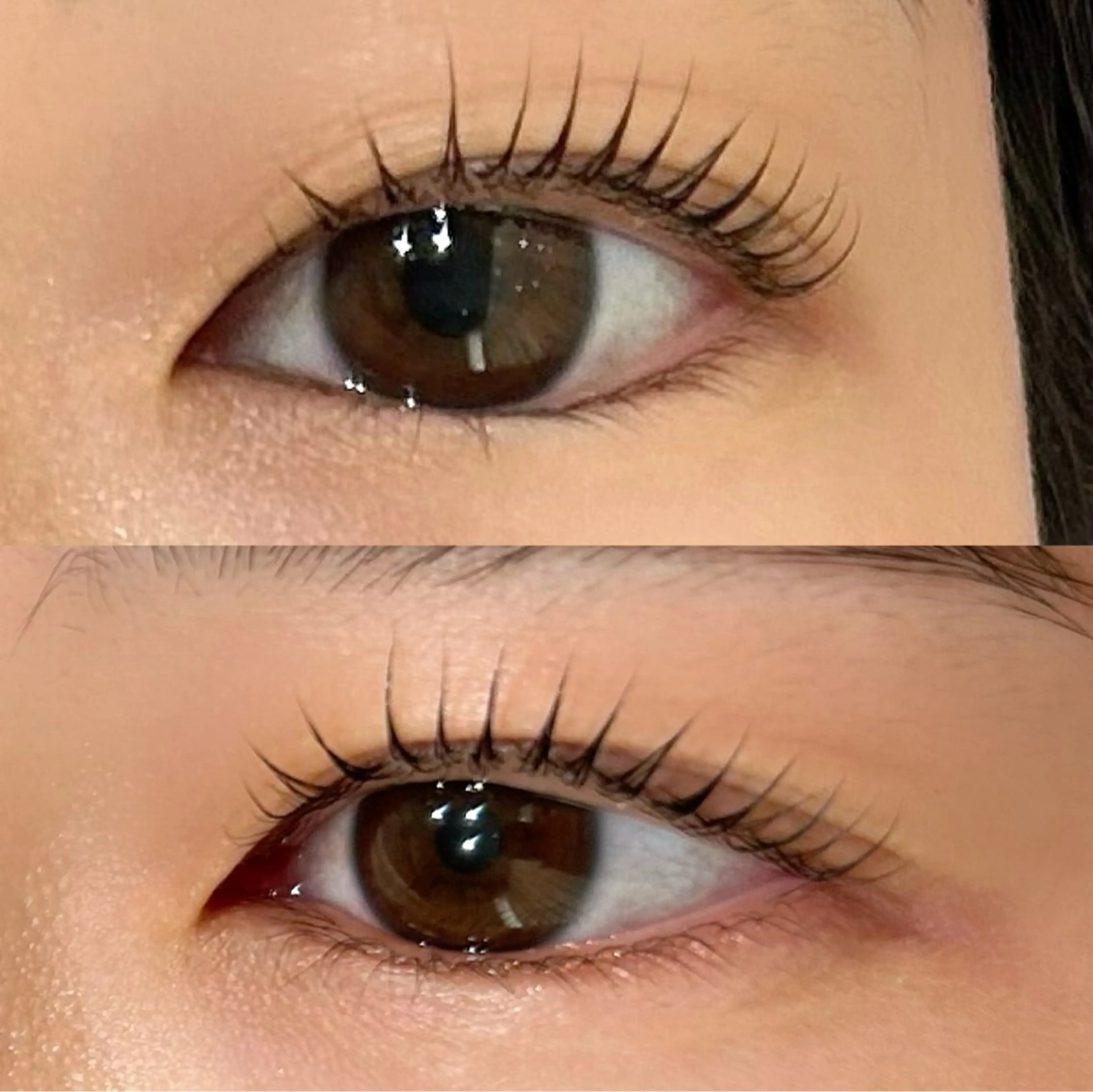 🌸【当日予約・ご来店限定】ラッシュリフトorパリジェンヌ🌸の写真