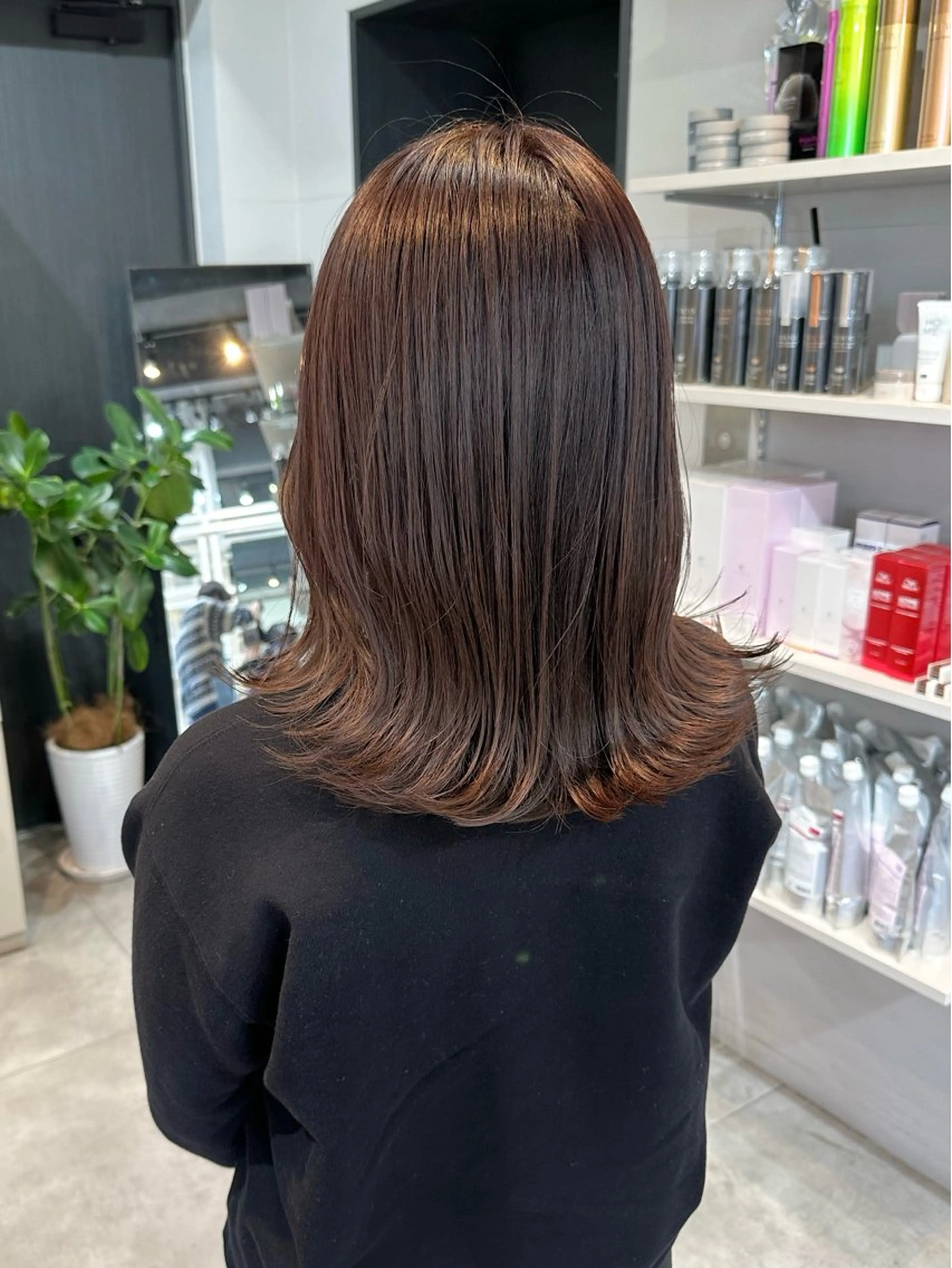 ミディアム カラー カット ヘアカラー トリートメント 透明感カラー/ボブ /佐藤伶のヘアスタイル