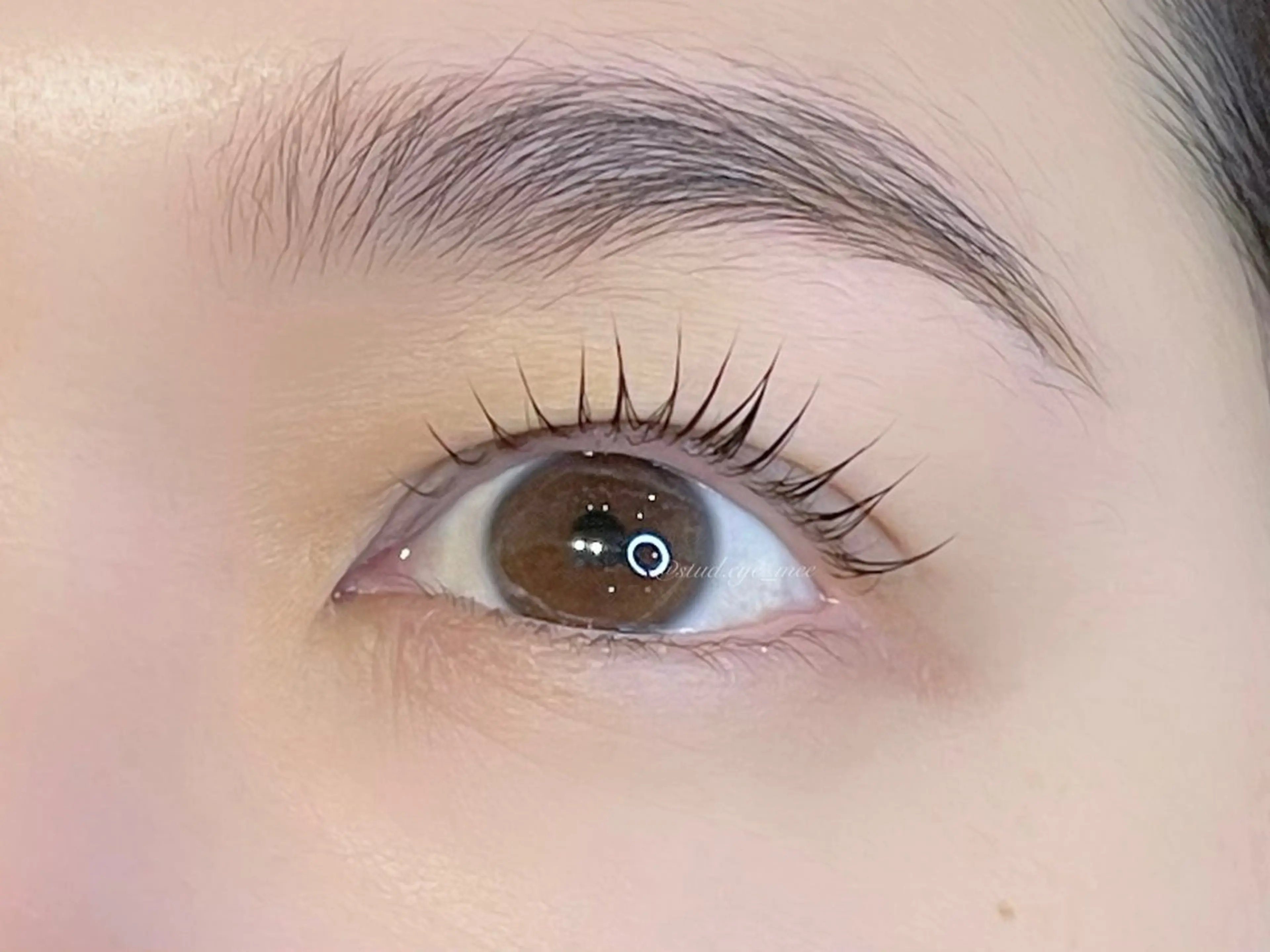 マツエク・マツパ NEW Open MIORA MIKIのマツエク・マツパデザイン