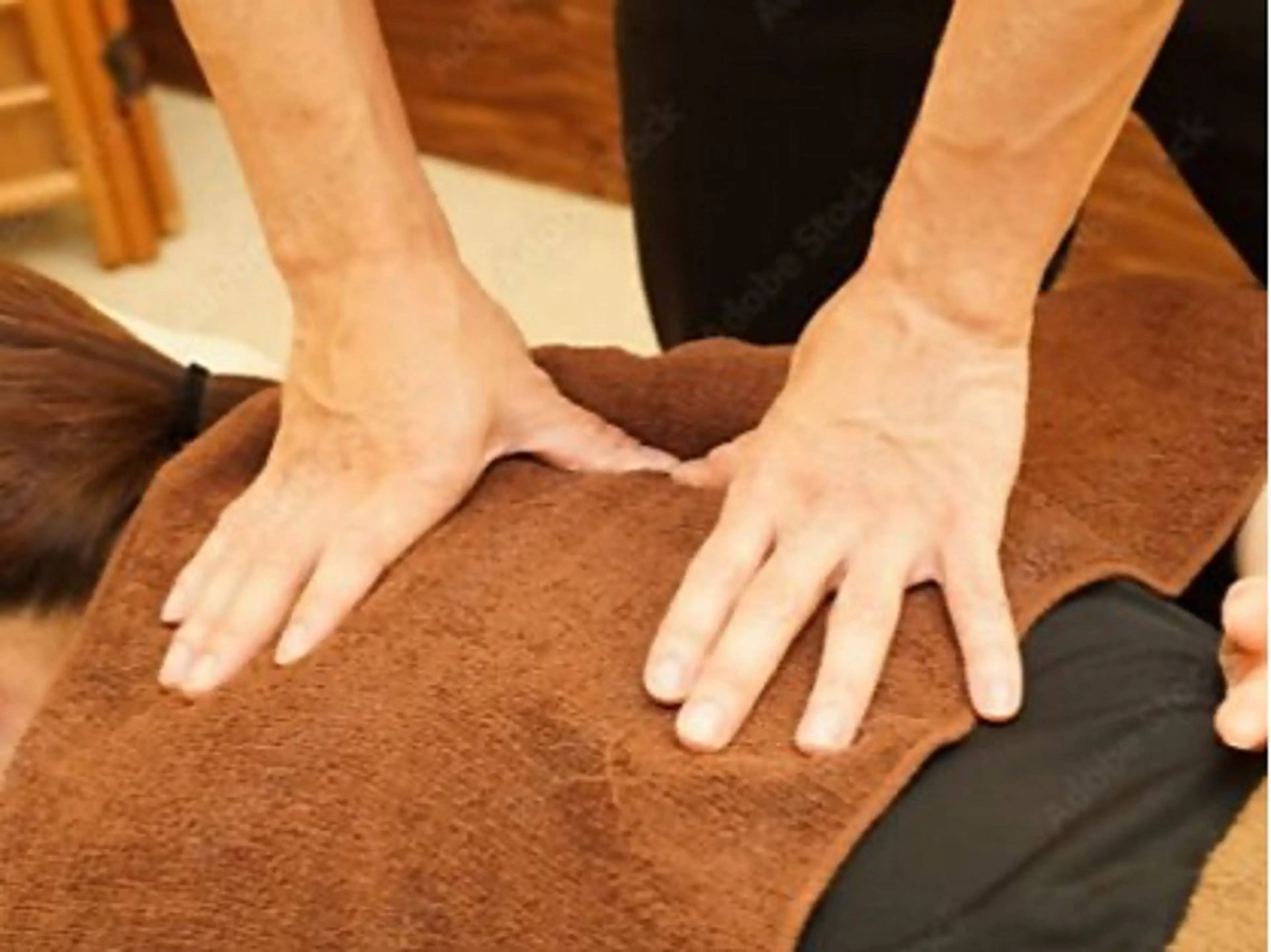 【夏の不調改善】全身指圧＆リフレッシュ　60分の写真