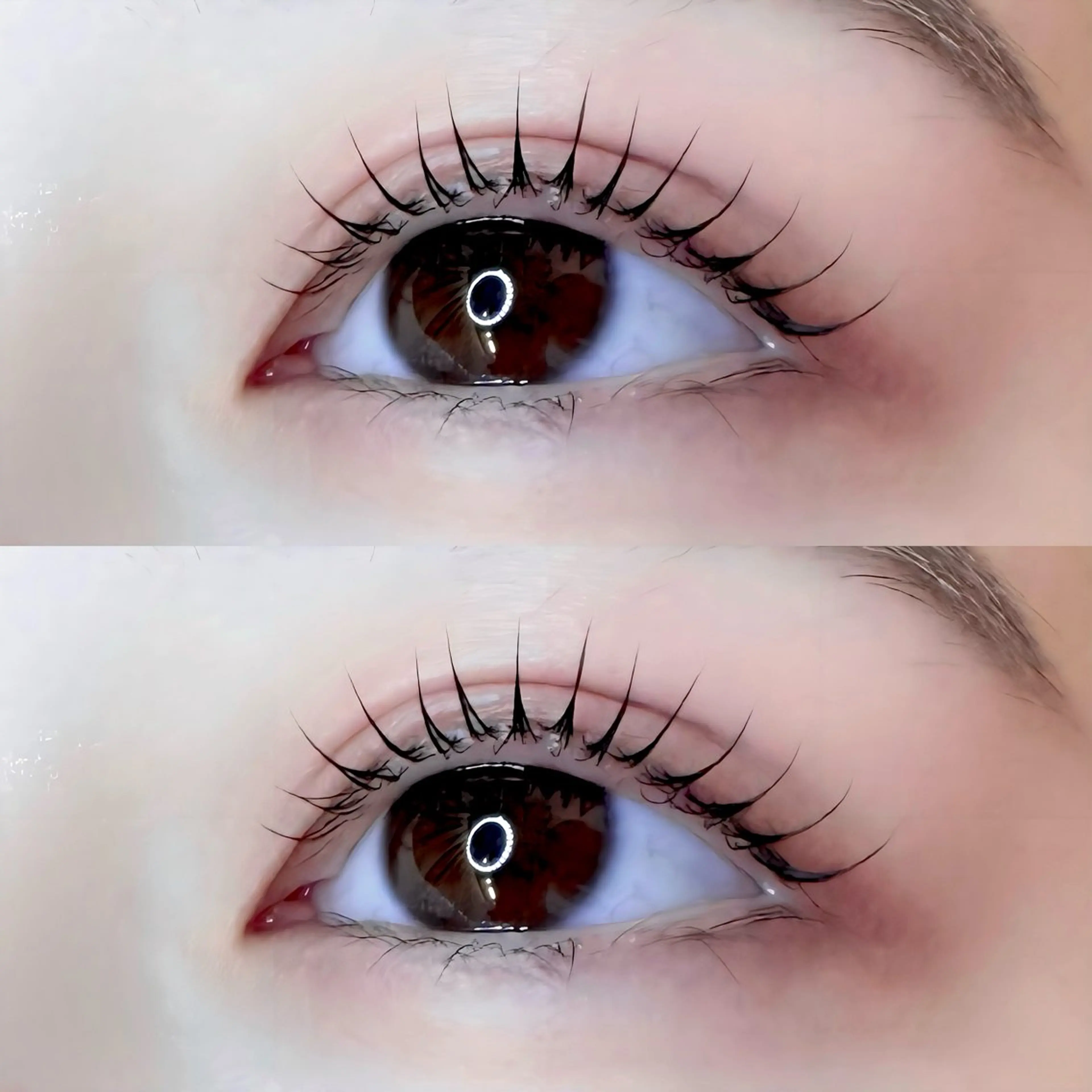 マツエク・マツパ 🐰🫧fein. moyu🐰🫧のマツエク・マツパデザイン