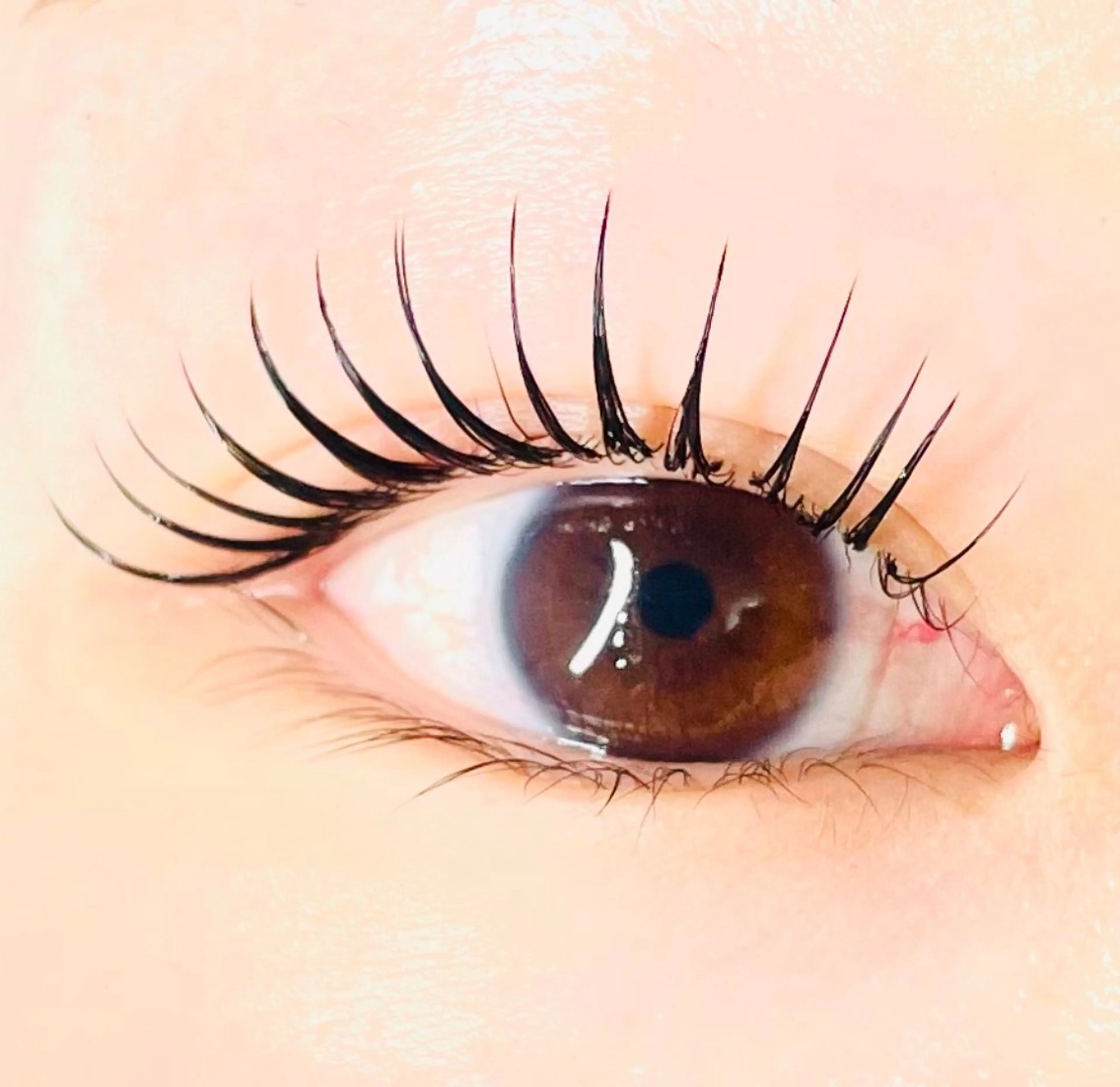 ¥8000→¥5600エクステ80本＋まつ毛パーマ　【新技法☆シマーラッシュ】普段100本エクステつけてる方にオススメの写真