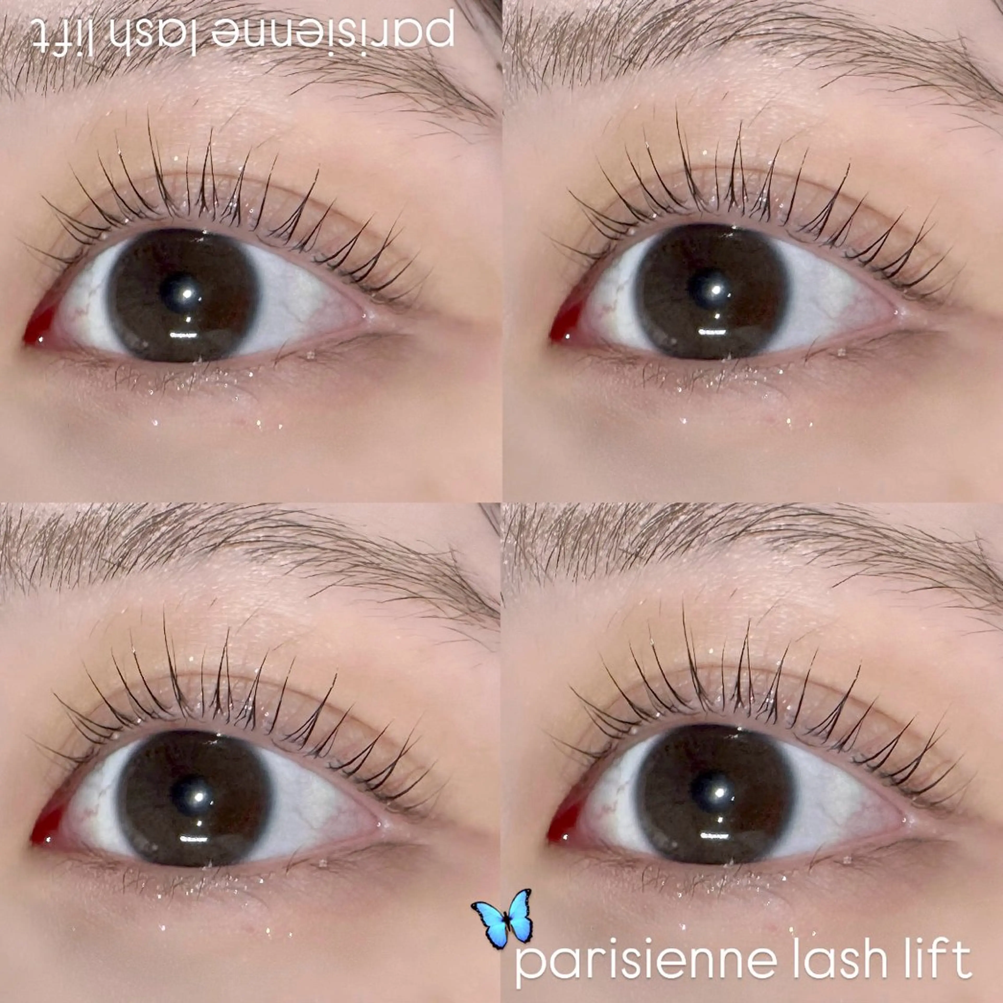 マツエク・マツパ YEON Mao🍒のマツエク・マツパデザイン