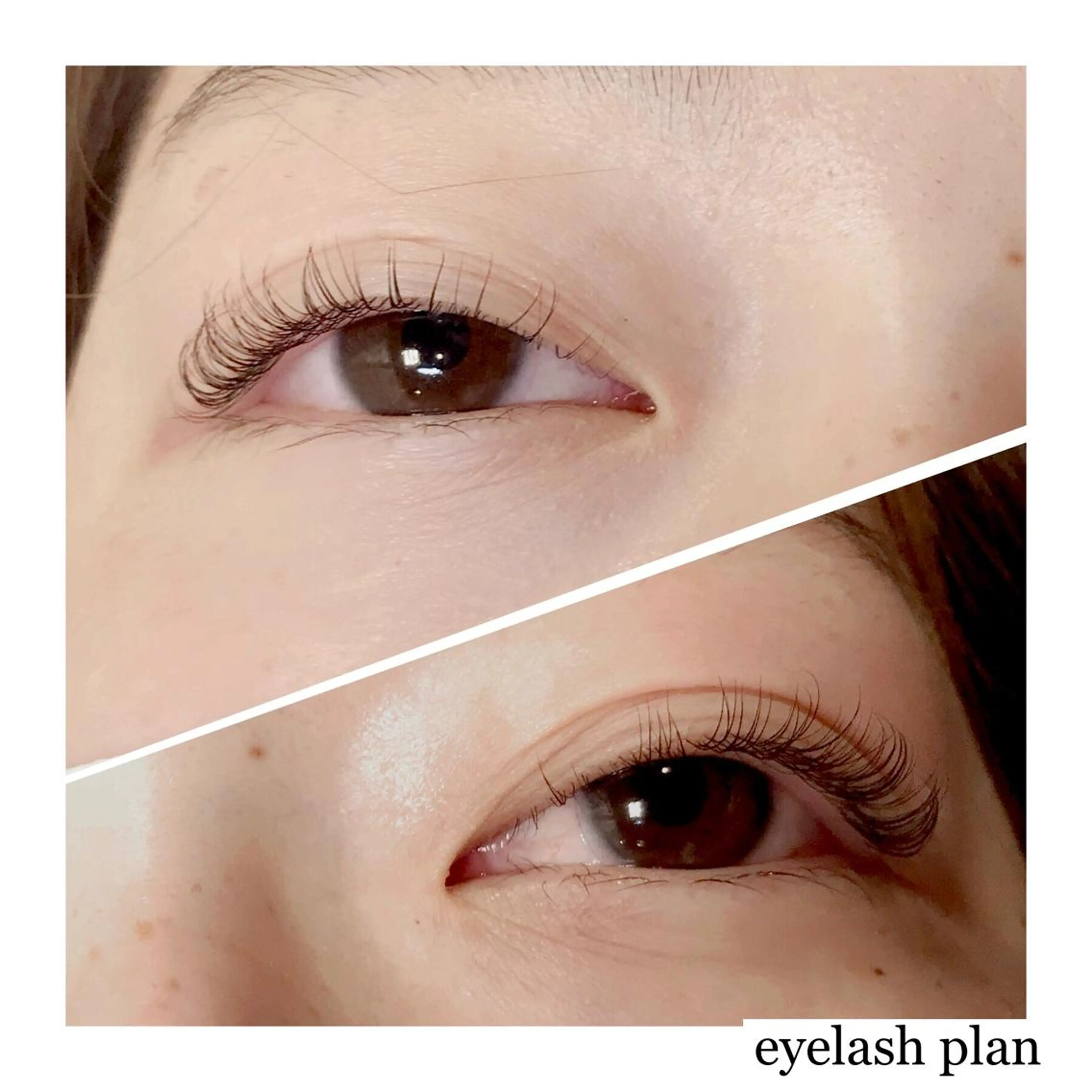 マツエク・マツパ 《eyelash ｉｉｔｅ》森のマツエク・マツパデザイン