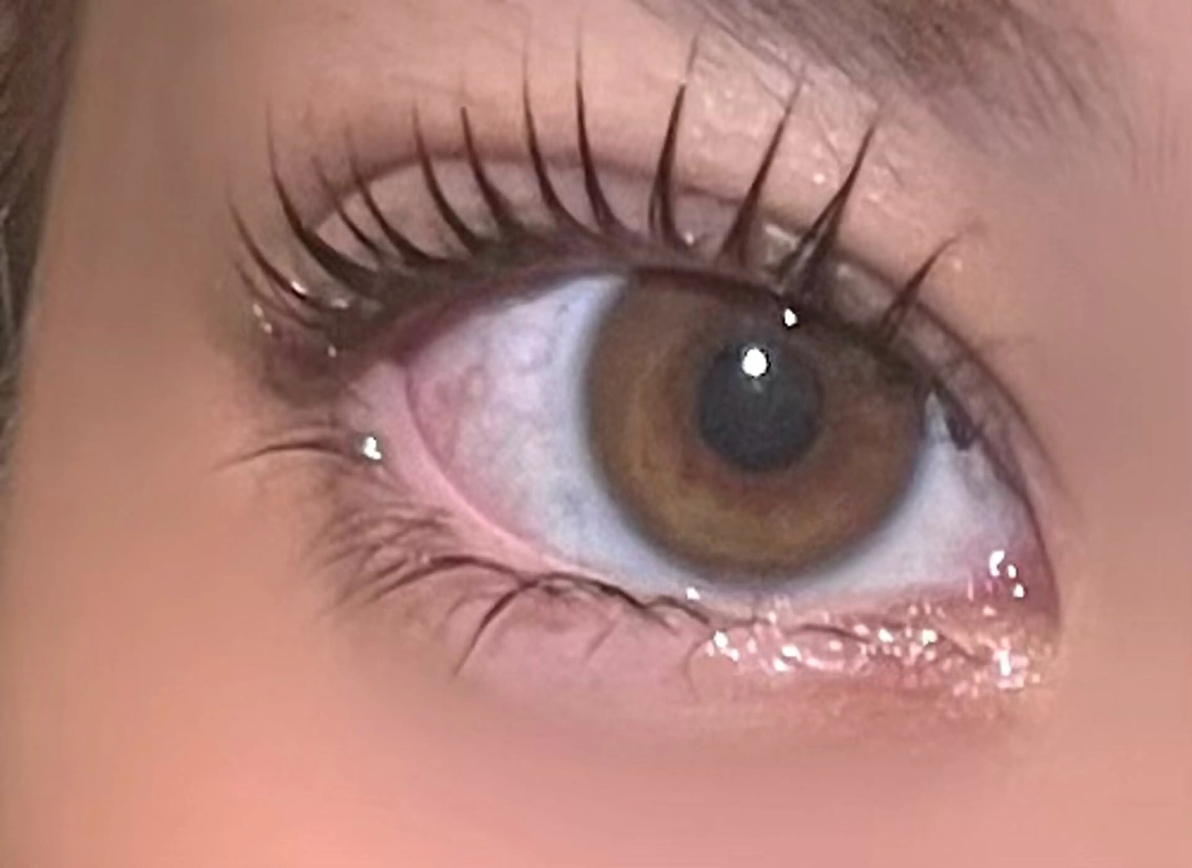 マツエク・マツパ 西田 愛海のマツエク・マツパデザイン