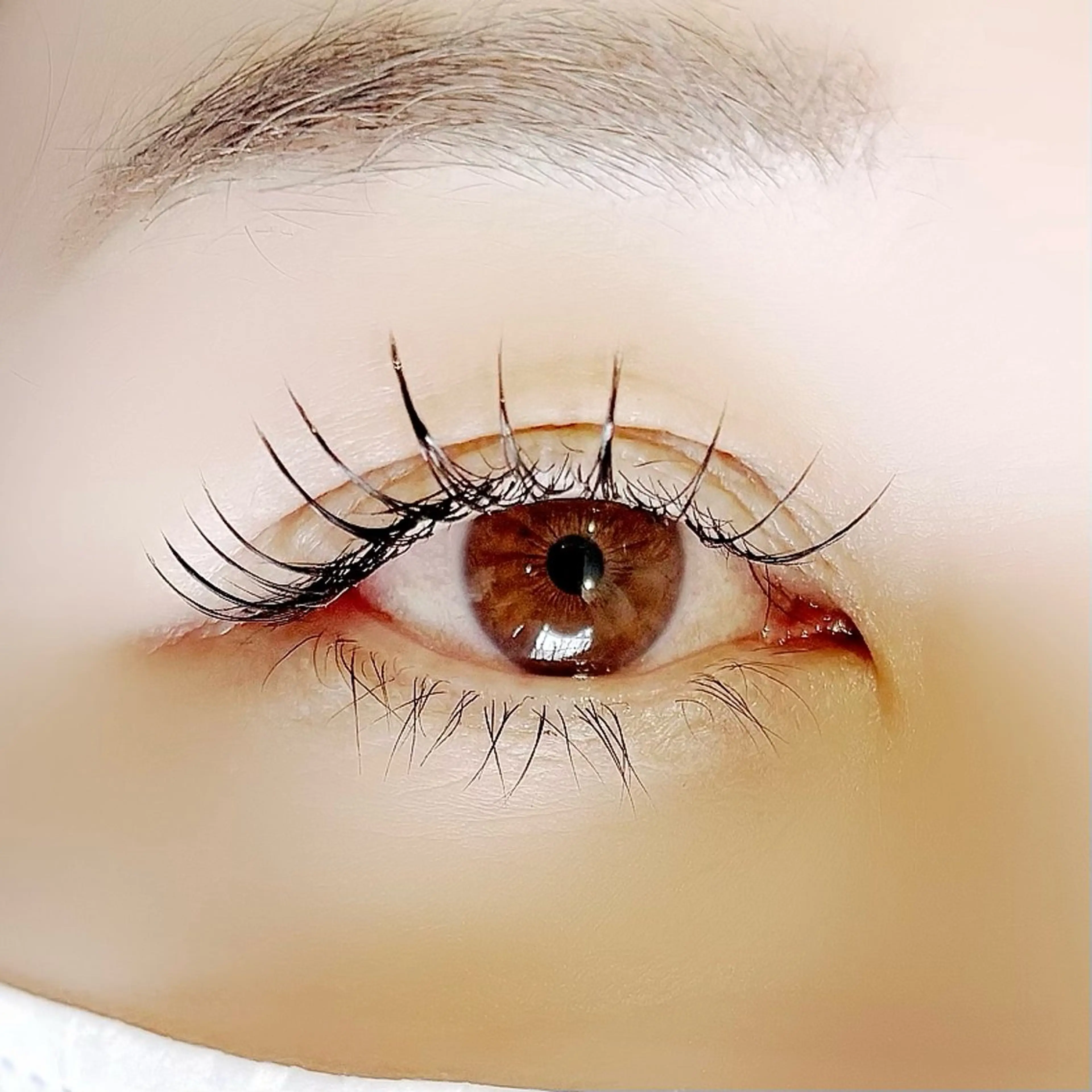 マツエク・マツパ WHITE LASH岡山イオン前店所属・WHITE LASH 🤍SAWA🤍の眉毛・アイブロウイメージ