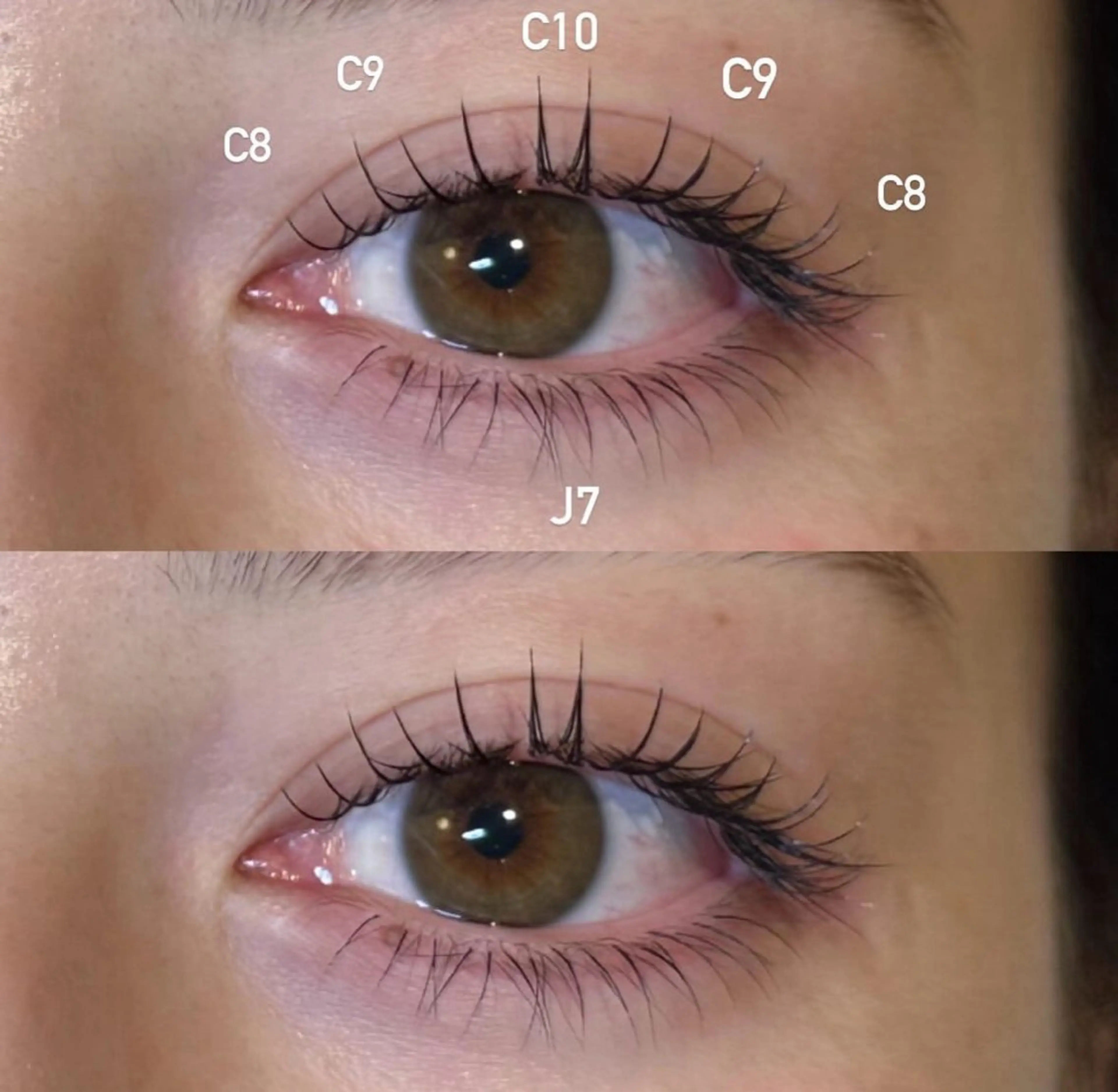 【🎀flat lash100本🎀】束感お仕上げ🩵の写真