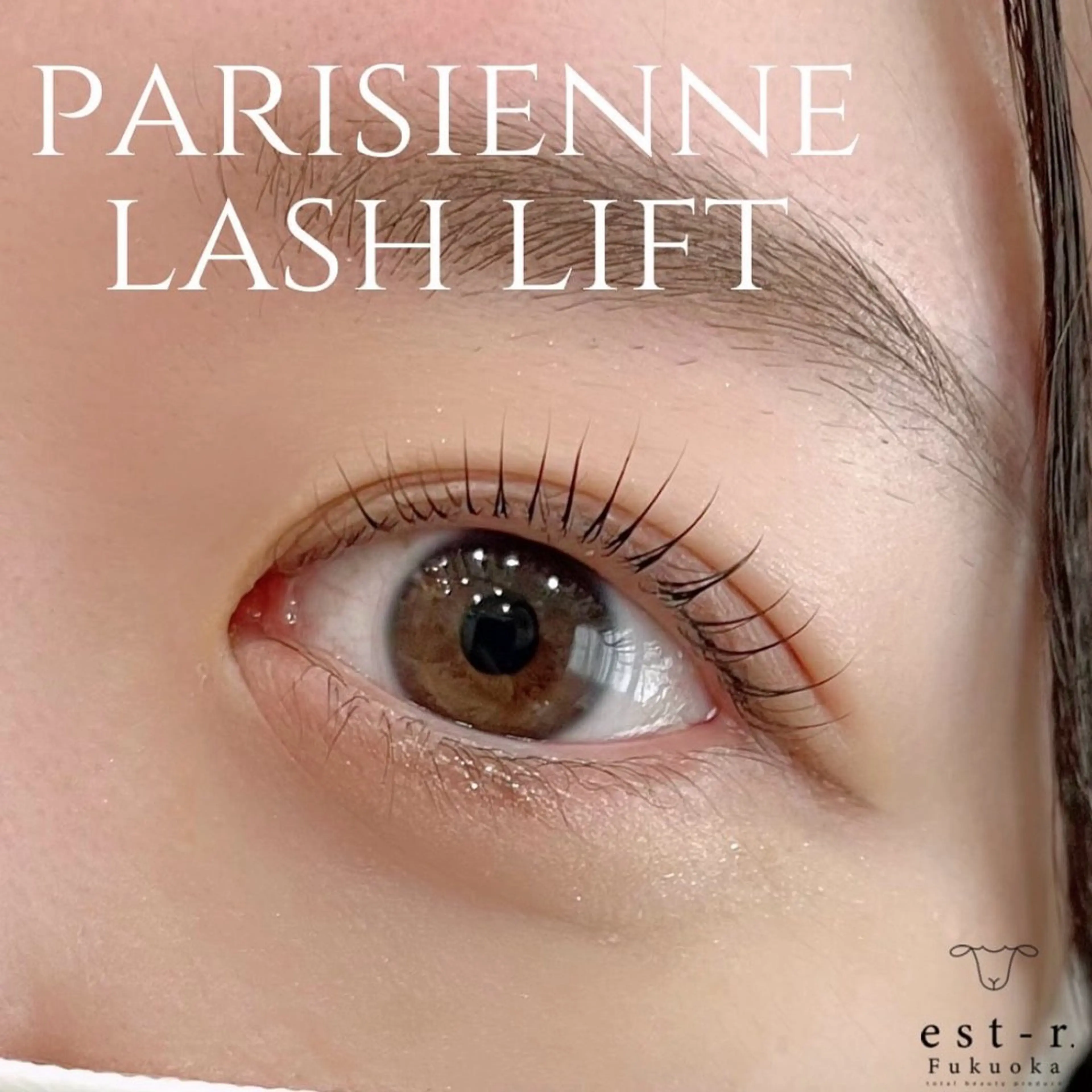 マツエク・マツパ ayaka/博多 LEDエクステのマツエク・マツパデザイン