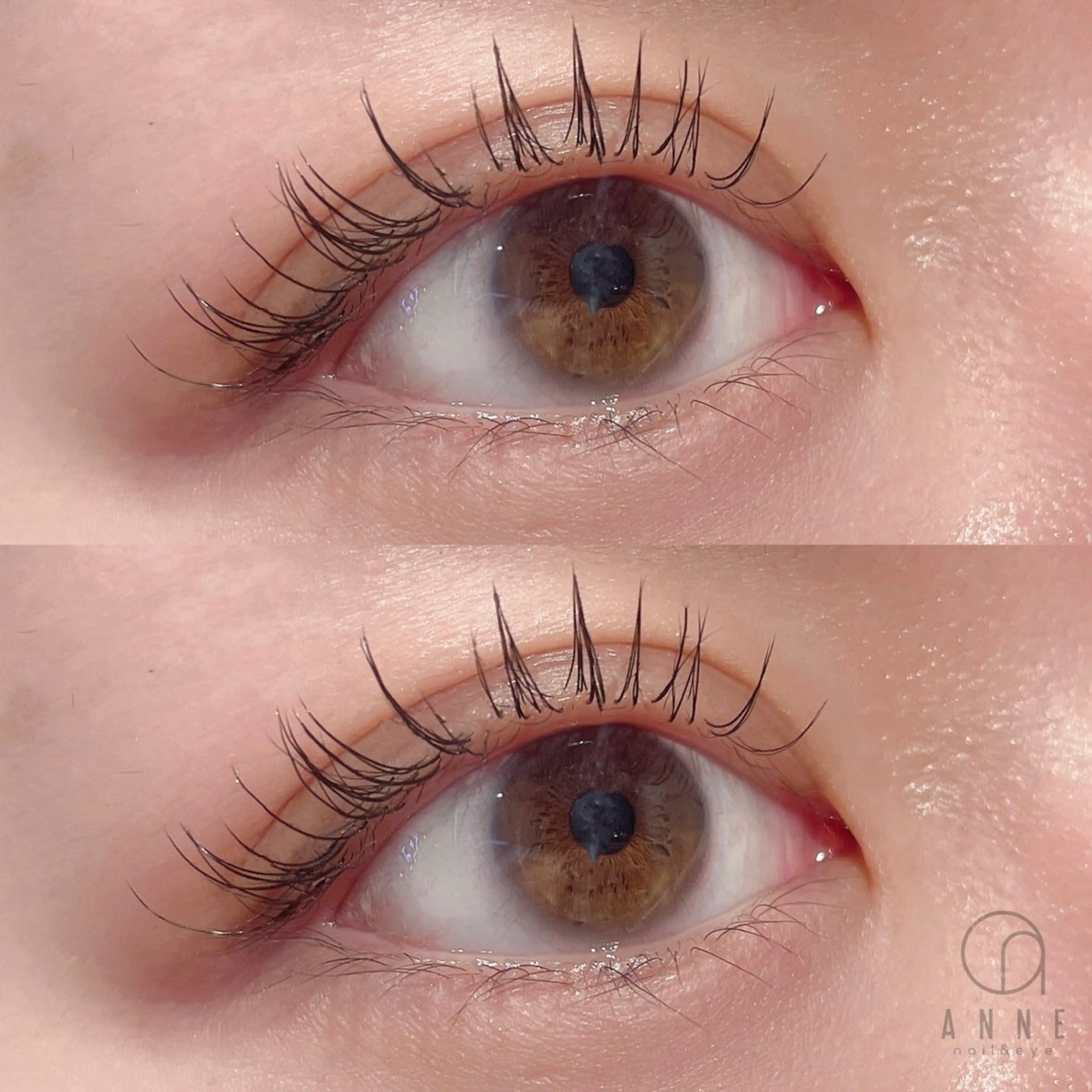 高級セーブル100本の写真