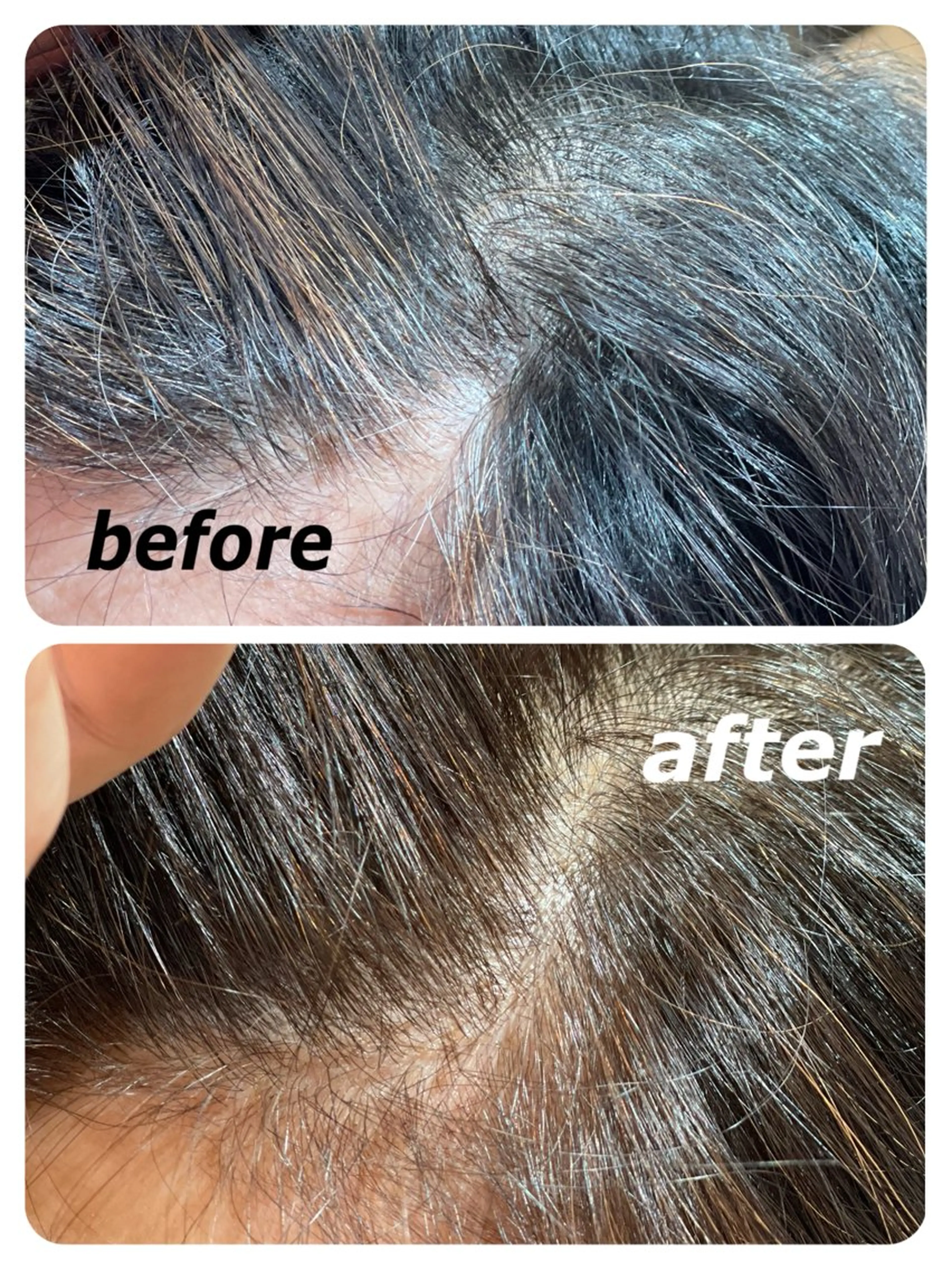 カラー 🐻押上🍯 艶カラー/Tomoのヘアスタイル