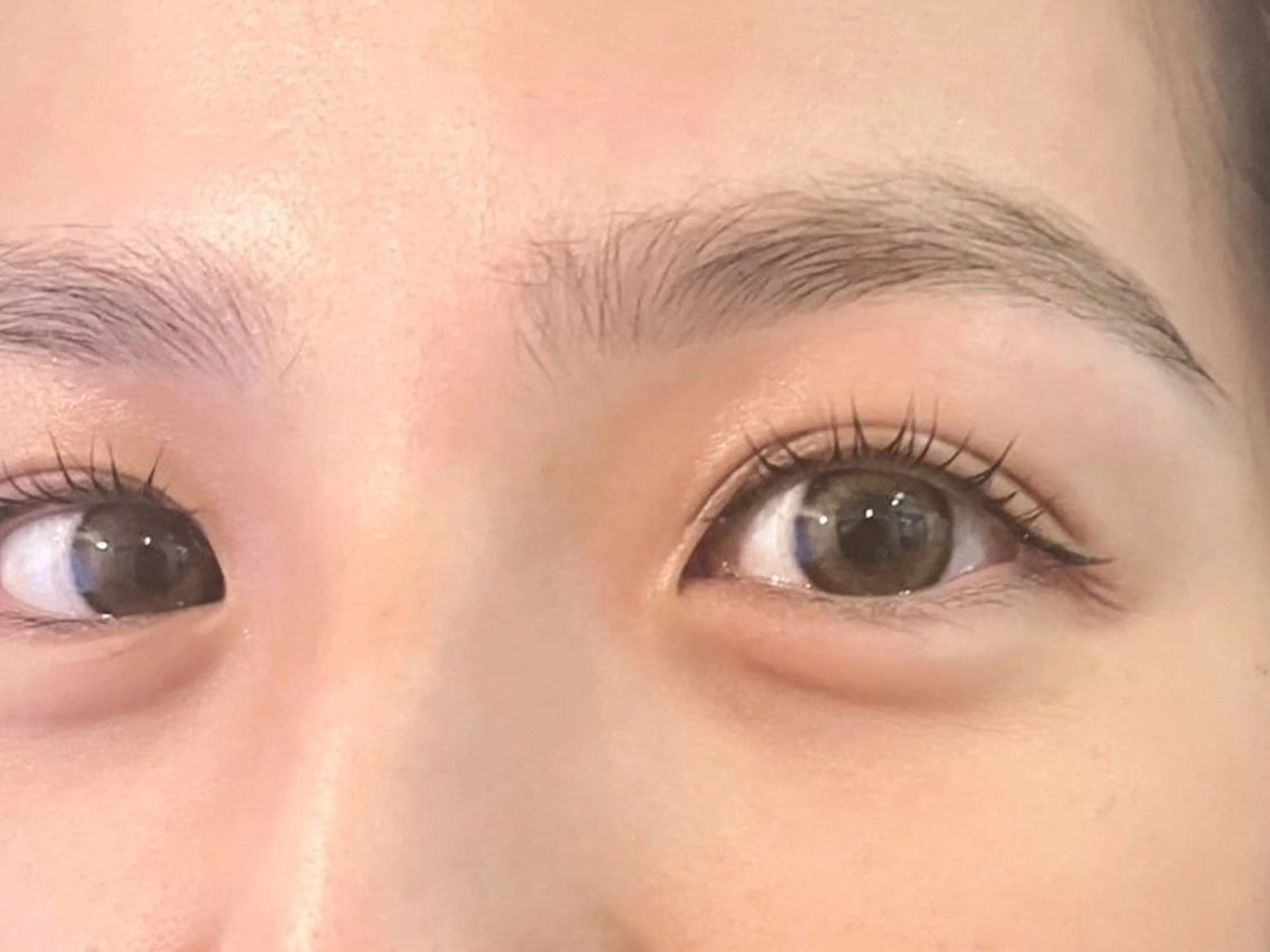 アイブロウ ハリウッドブロウリフト 中目黒 眉毛&マツパ HARUNA🌷のマツエク・マツパデザイン