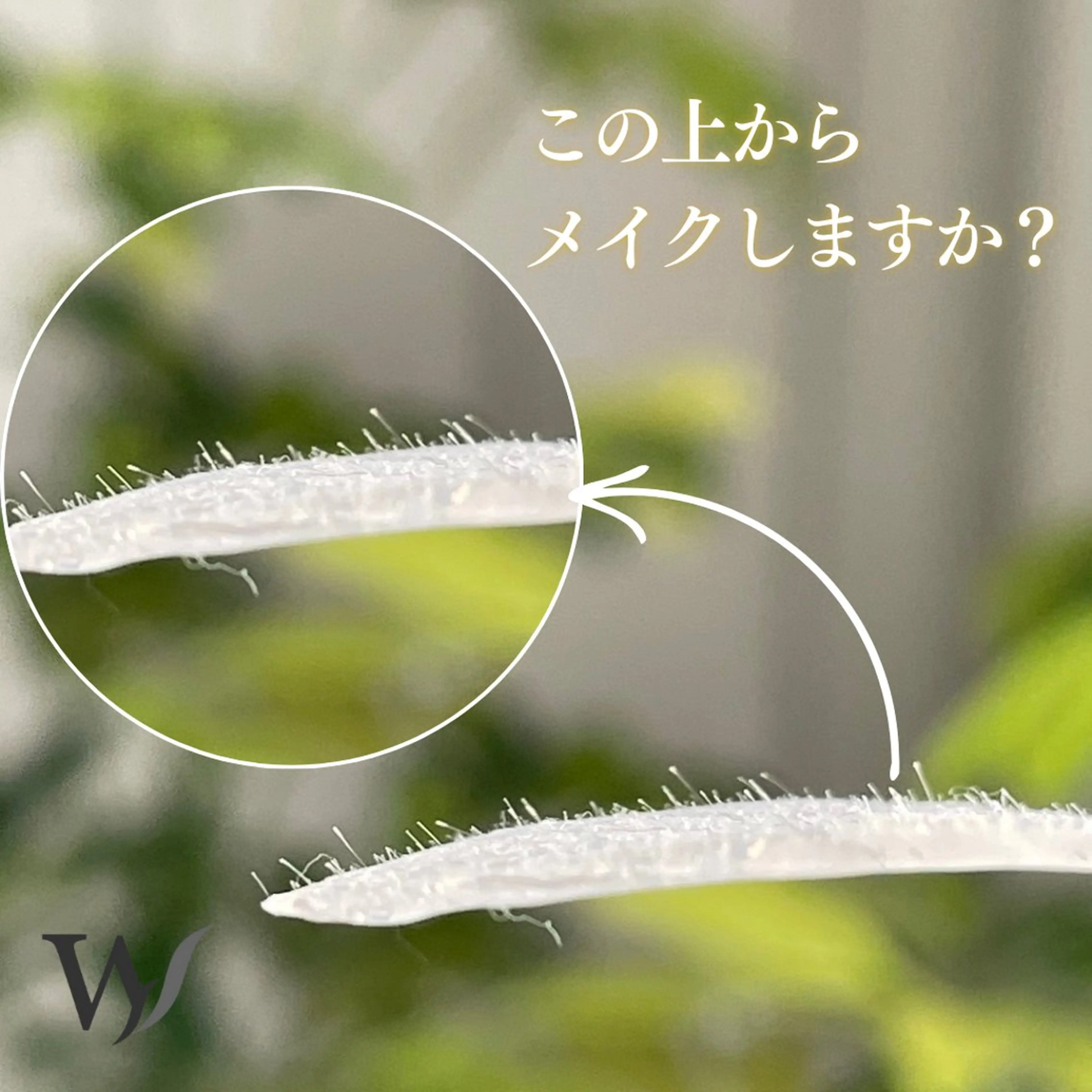 【極上ヘッドスパ】全顔WAX+ドライヘッドスパ(15分)¥11,800の写真