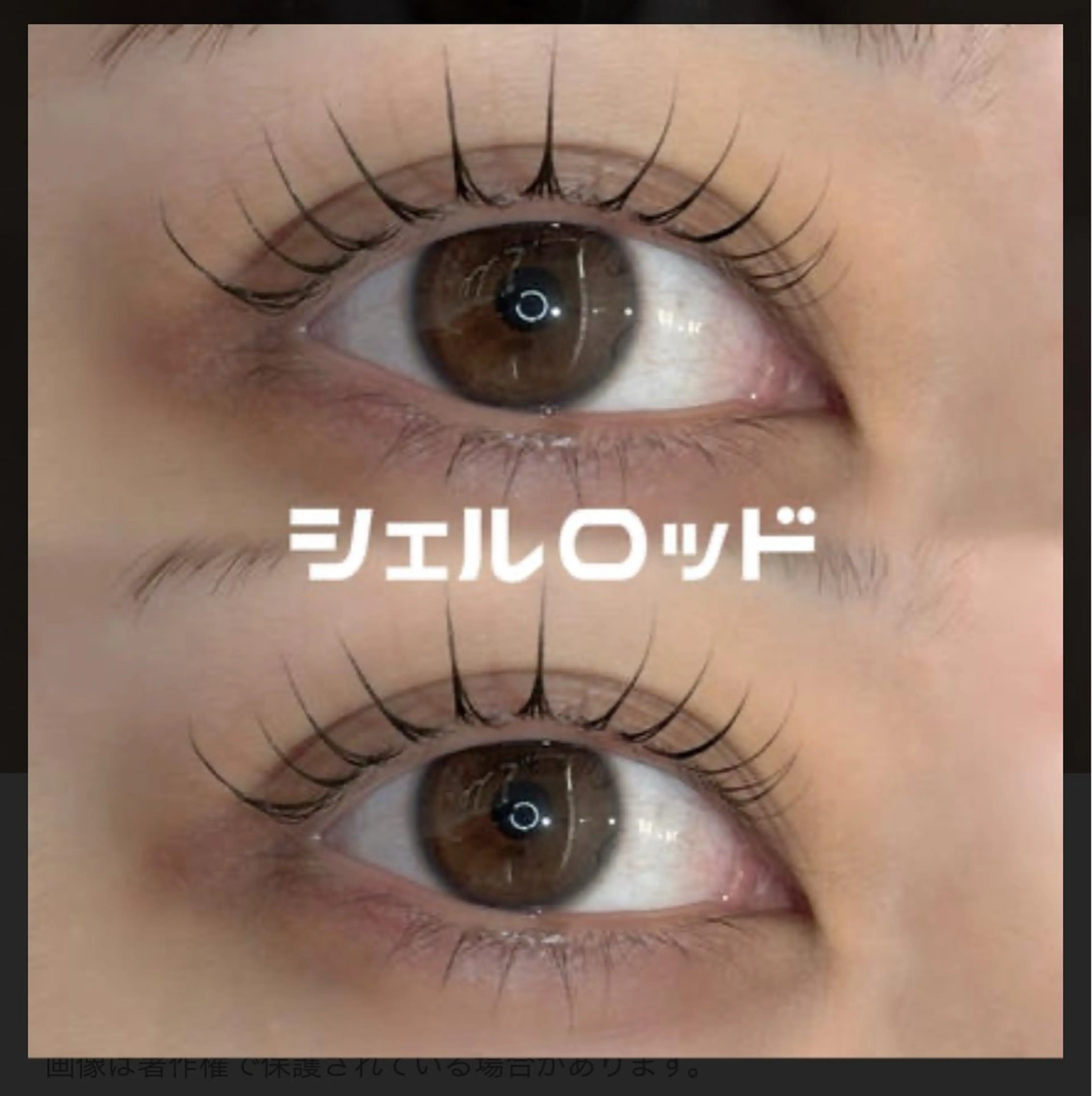 マツエク・マツパ 下まつげエクステ 一重×まつ毛パーマ マツパ emire ビューティーサロンのマツエク・マツパデザイン