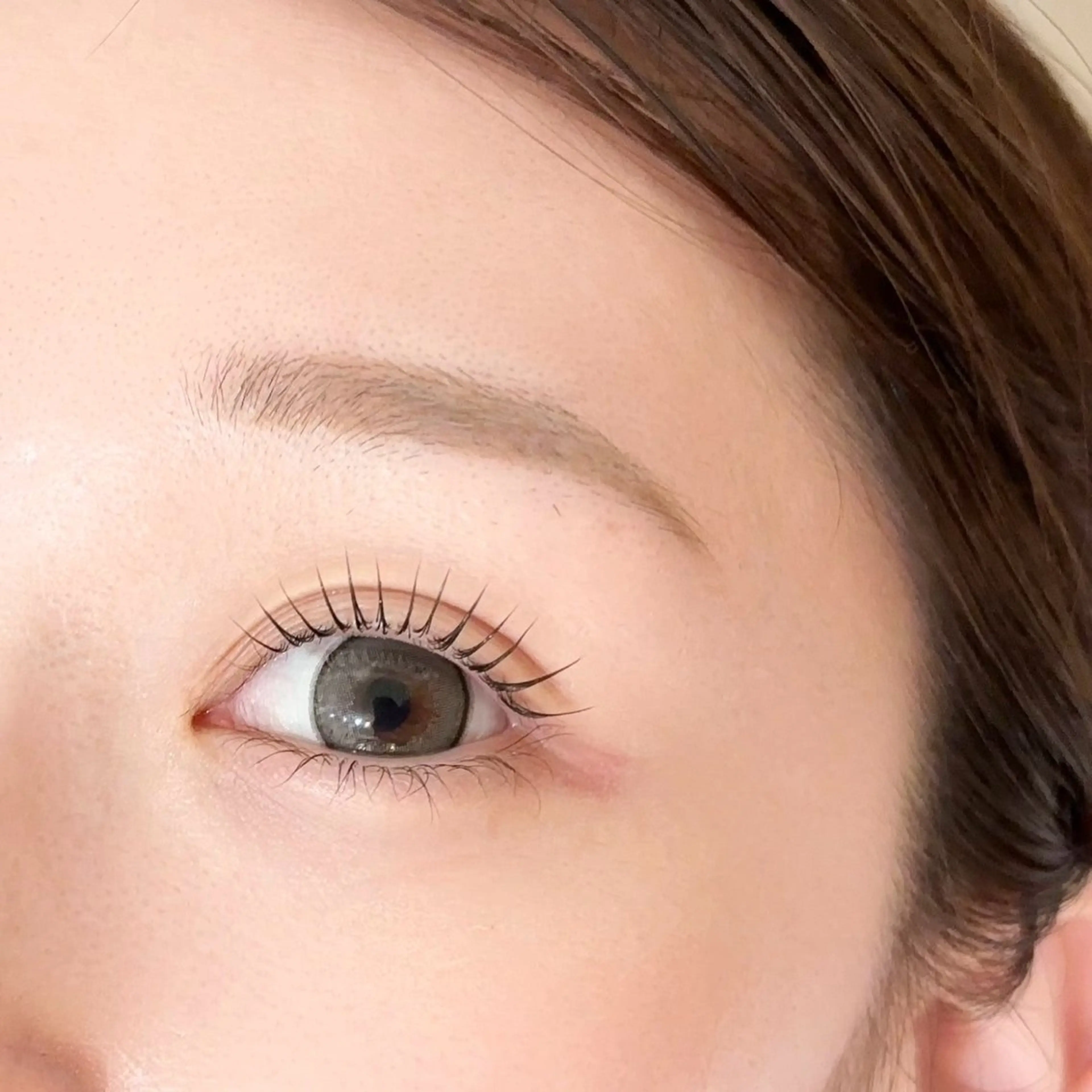 【モデルさん募集】メーテルラッシュリフト🎀の写真