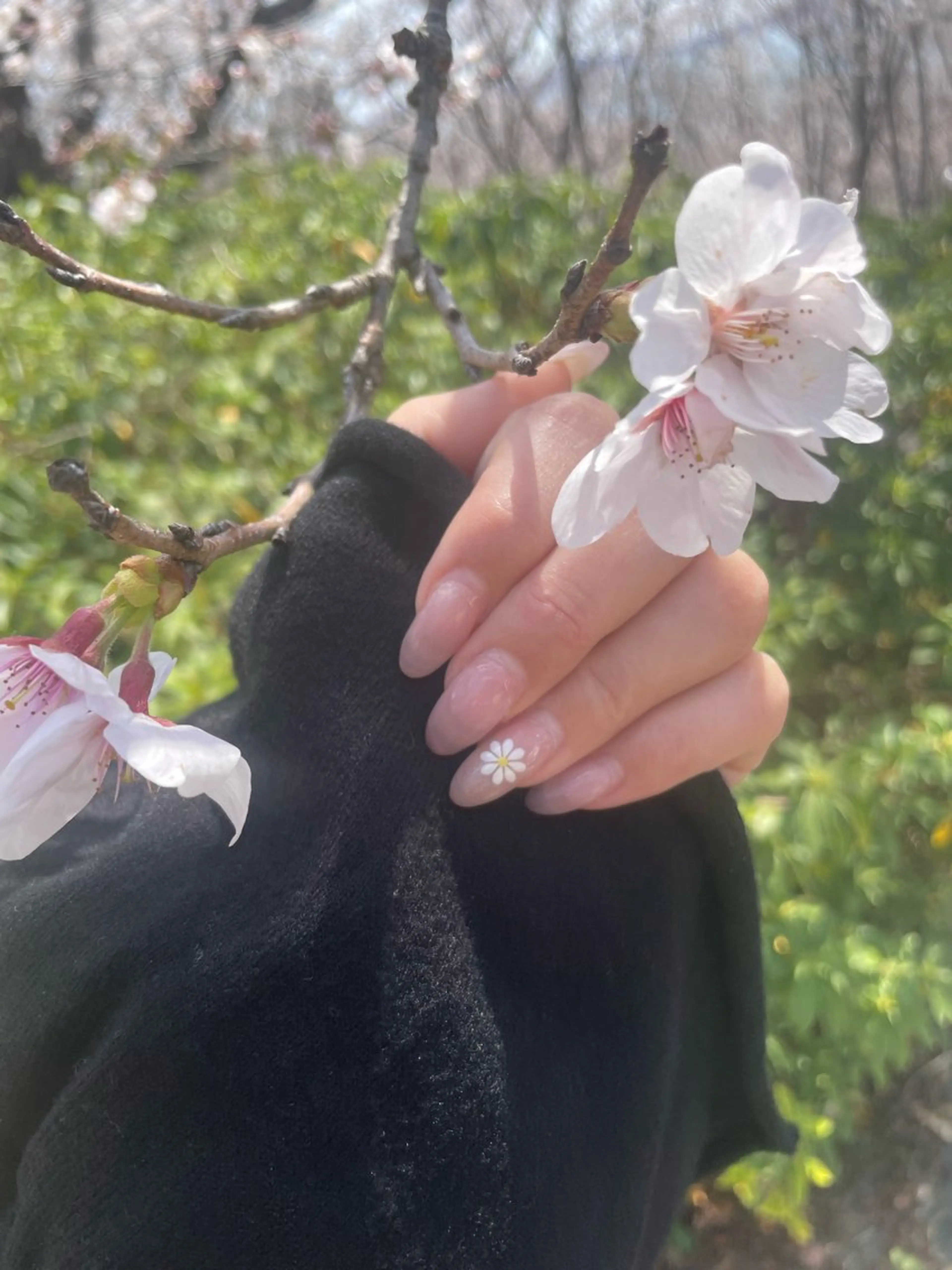 ネイル nail salon yのネイルデザイン