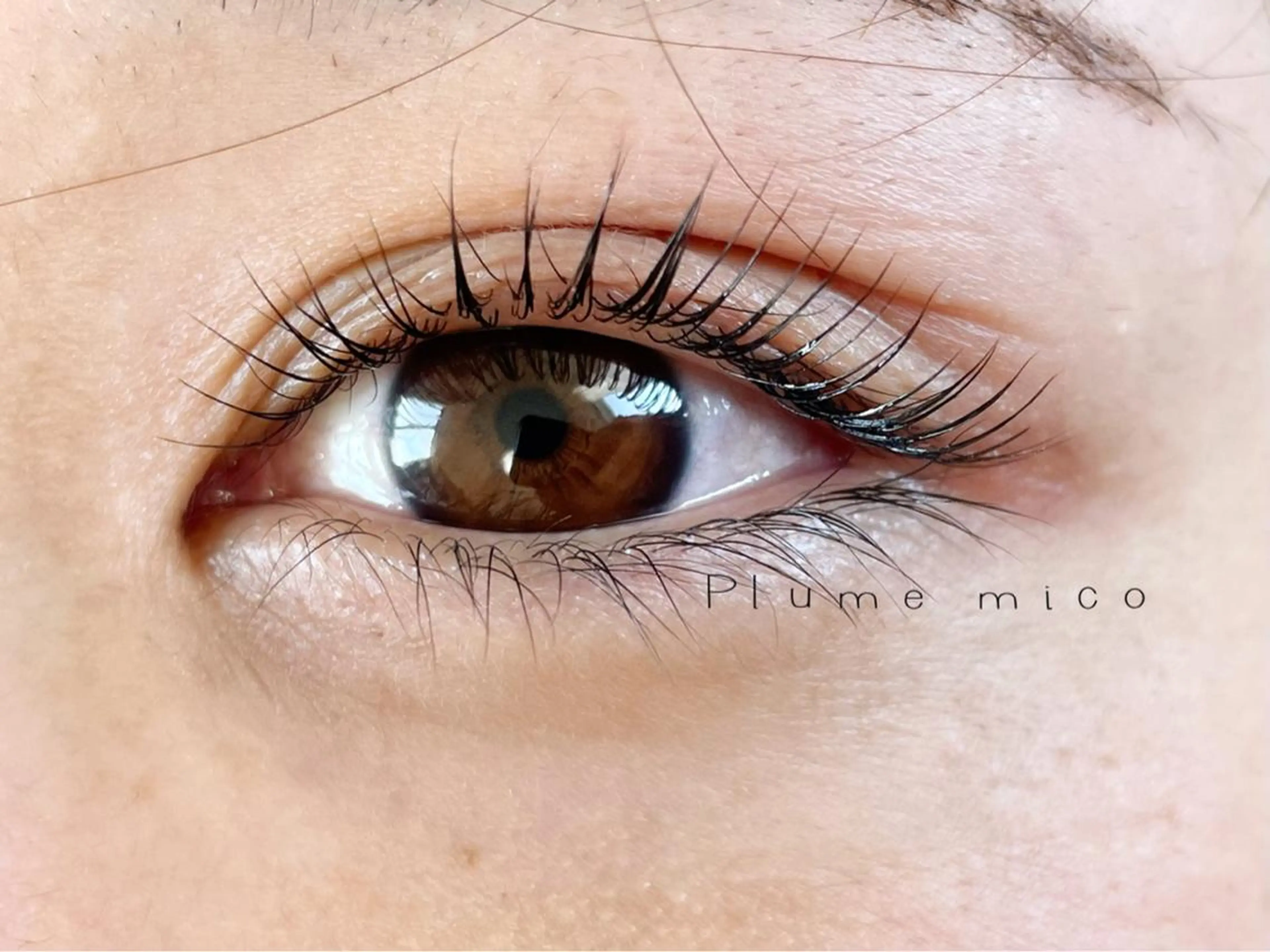 マツエク・マツパ マツパ Plume micoのマツエク・マツパデザイン