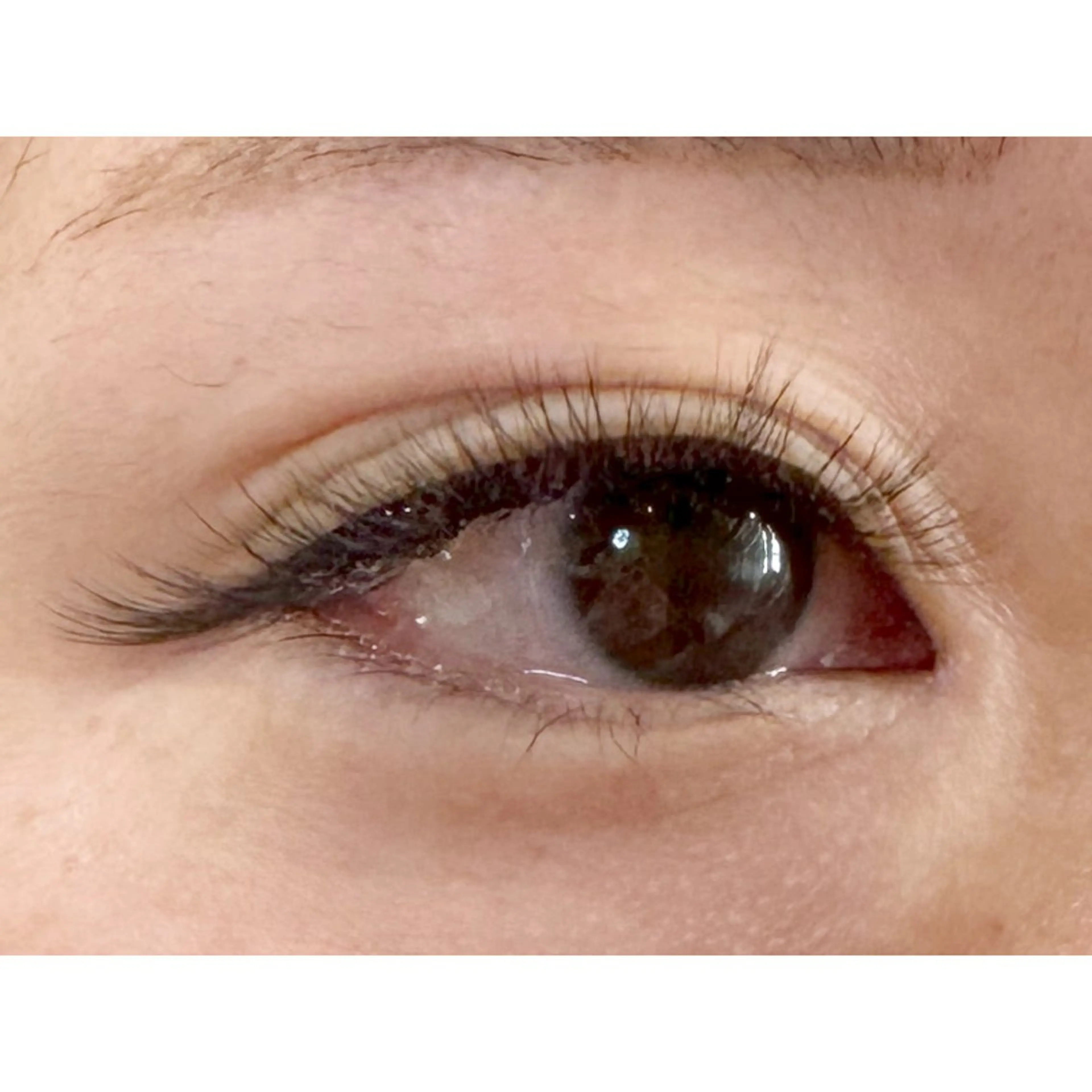 ボリュームラッシュ300本✨の写真